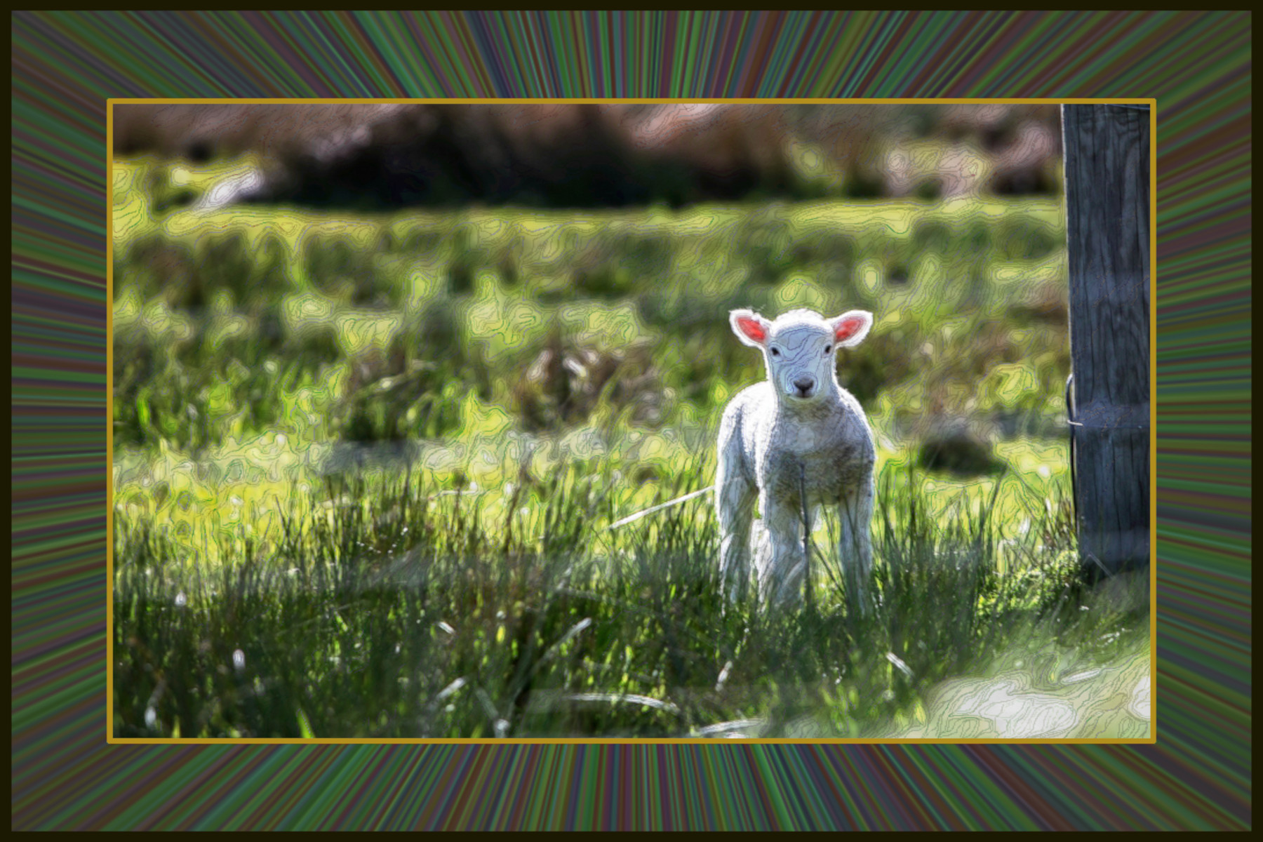 2021-02-27 07-24-39 lamb-1081950_1920 stroked by G'mic Afre plug-ins and Doodle medium strokes.jpeg