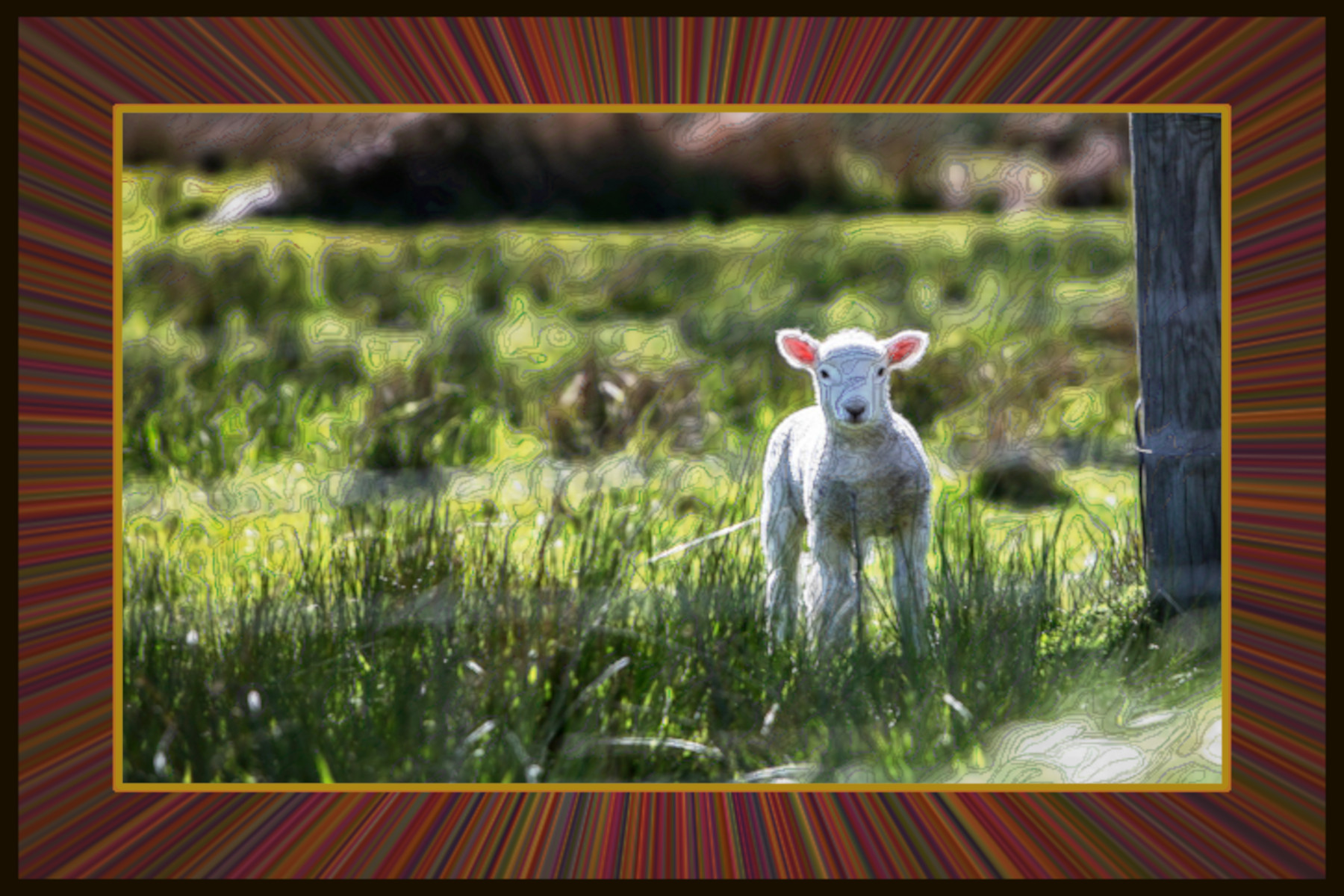 2021-02-27 07-37-48 lamb-1081950_1920 stroked by G'mic Afre plug-ins and Doodle normal strokes.jpeg