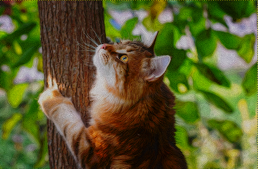 Climbing_Cat_DN_Graphics_StringyLook_D.JPG.png