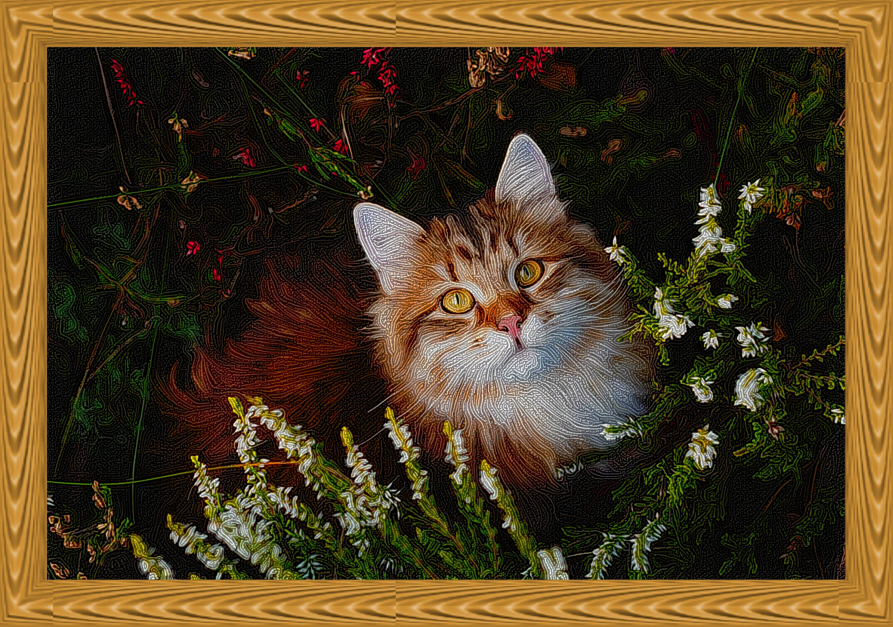 orzeszek_by_kdemczuk_de8nya5_DN_Graphics_StringyLook_D.jpg