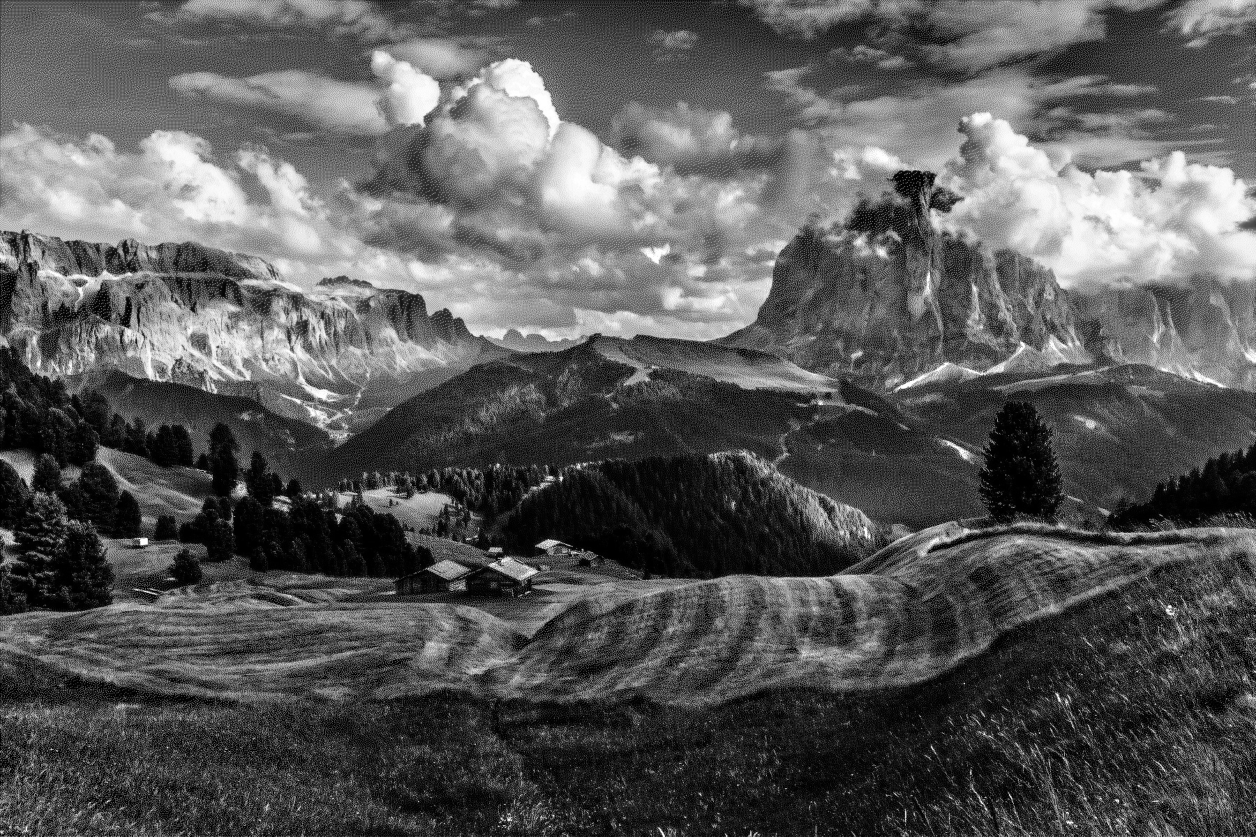 2021-04-14 11-38-45 pexels-chavdar-lungov-3996363 with effect T (DitherEmboss), , B&W.jpeg