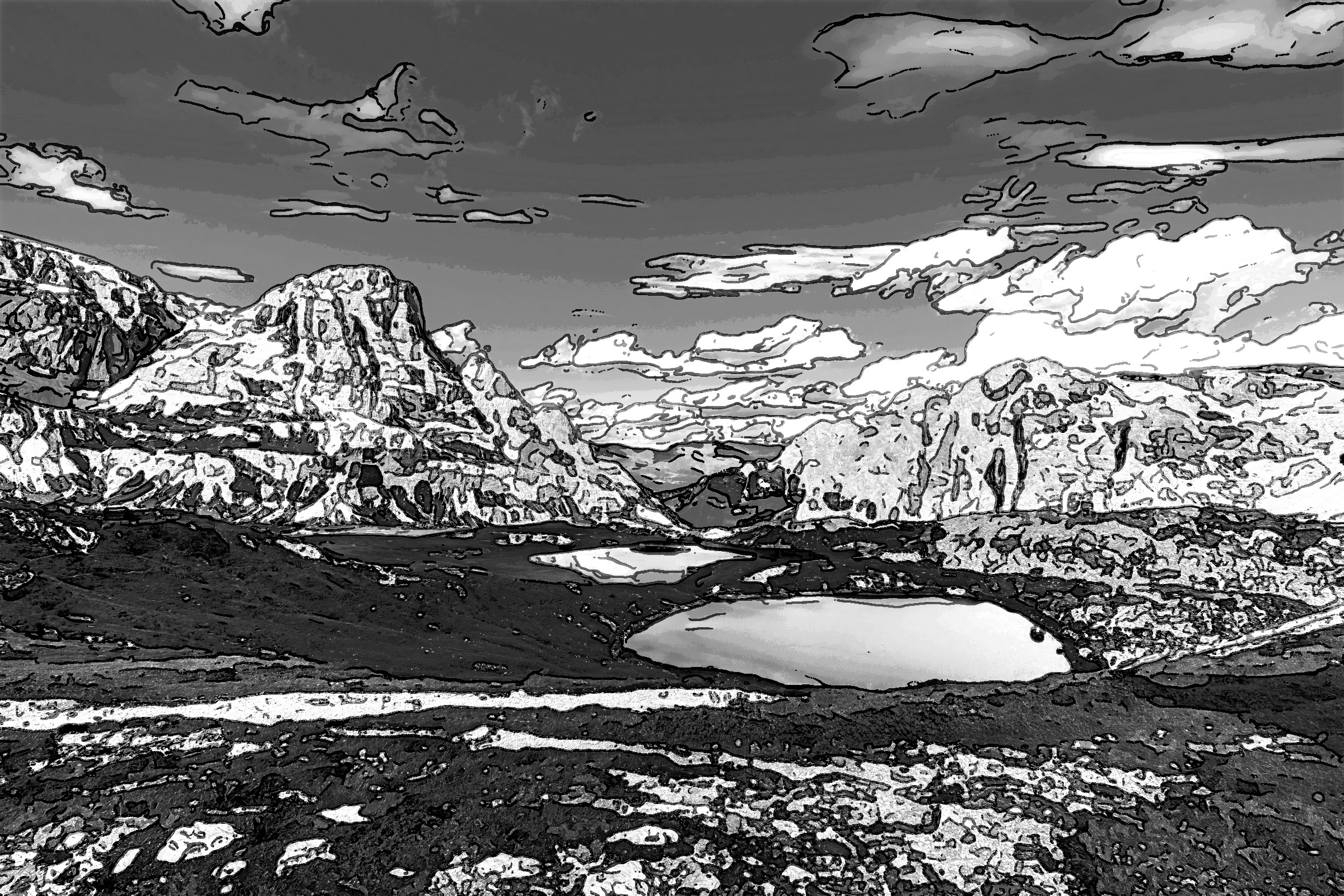 2021-04-16 09-12-04 pexels-chavdar-lungov-3996438 with effect V (Cartoon), B&W.jpeg