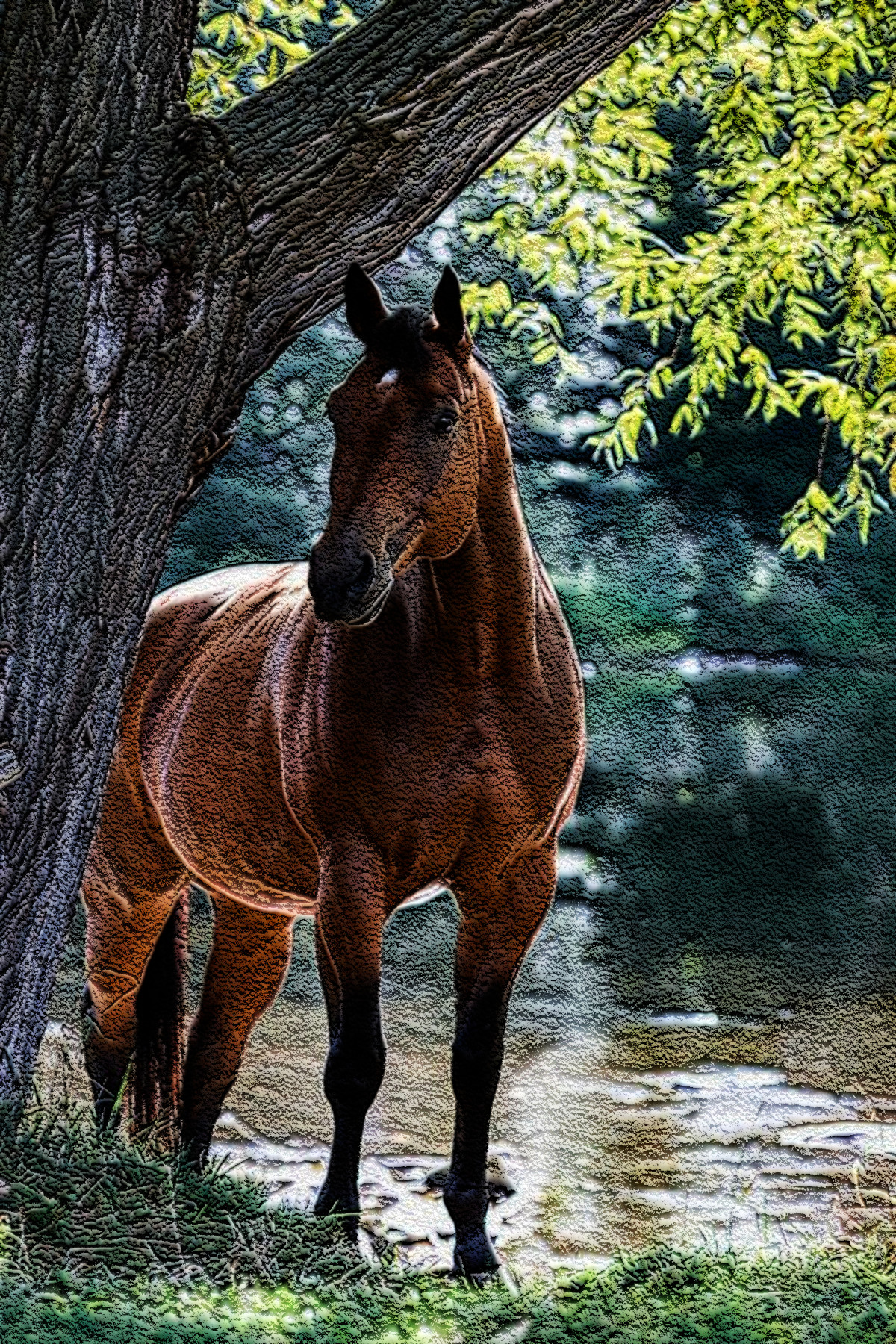Horse_DN_StyleC_CDSN.jpg