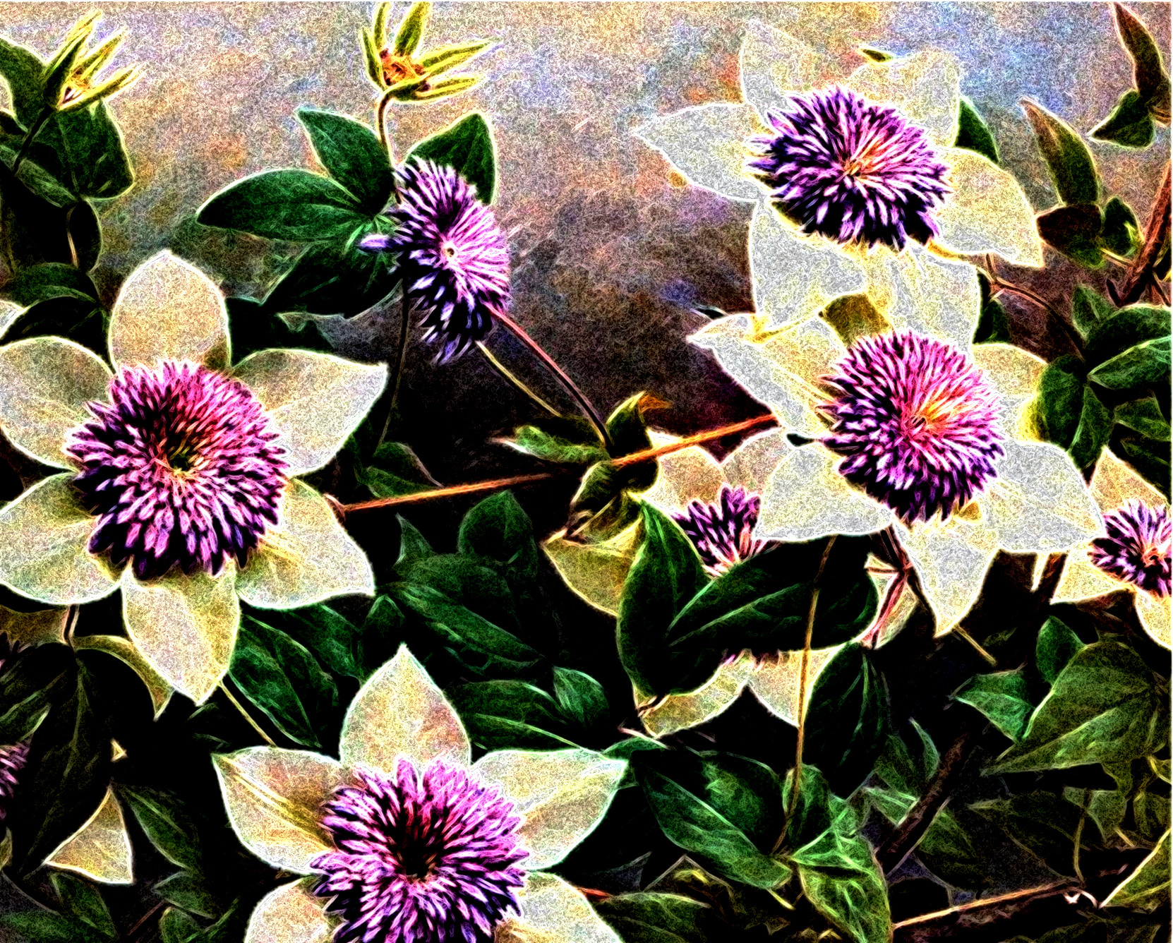 Fondo_Floral_DN_StyleC_CMSN.jpg