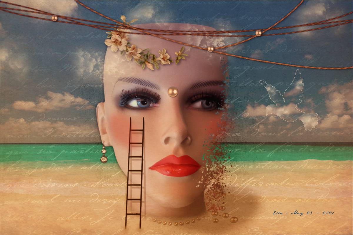 surreal head on the beach.l2.png