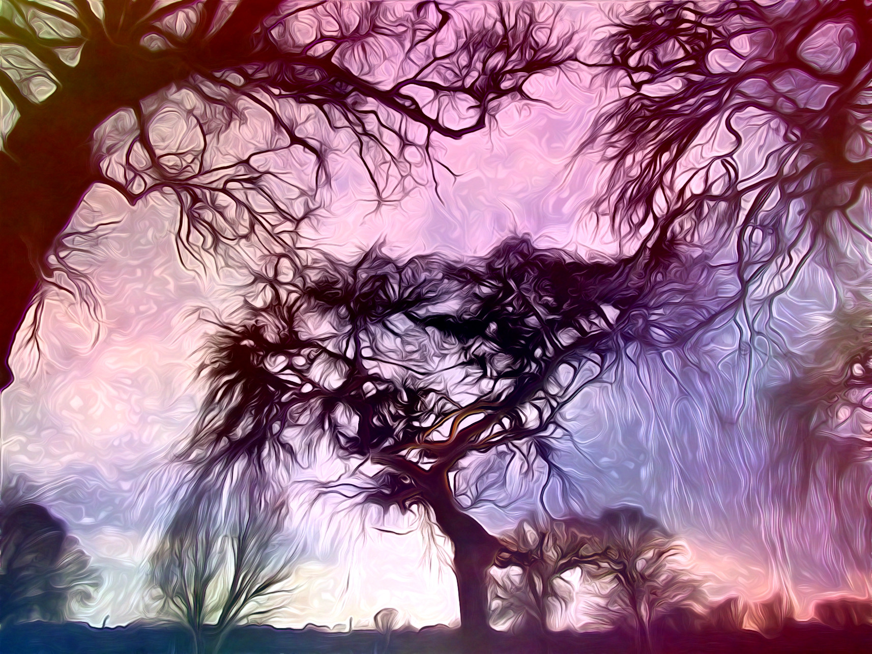 2021-05-24 07-51-04 landscape-tree-nature-forest-branch-silhouette-1415443-pxhere with JVID effect A (DreamSmooth+Barbouillage).jpg