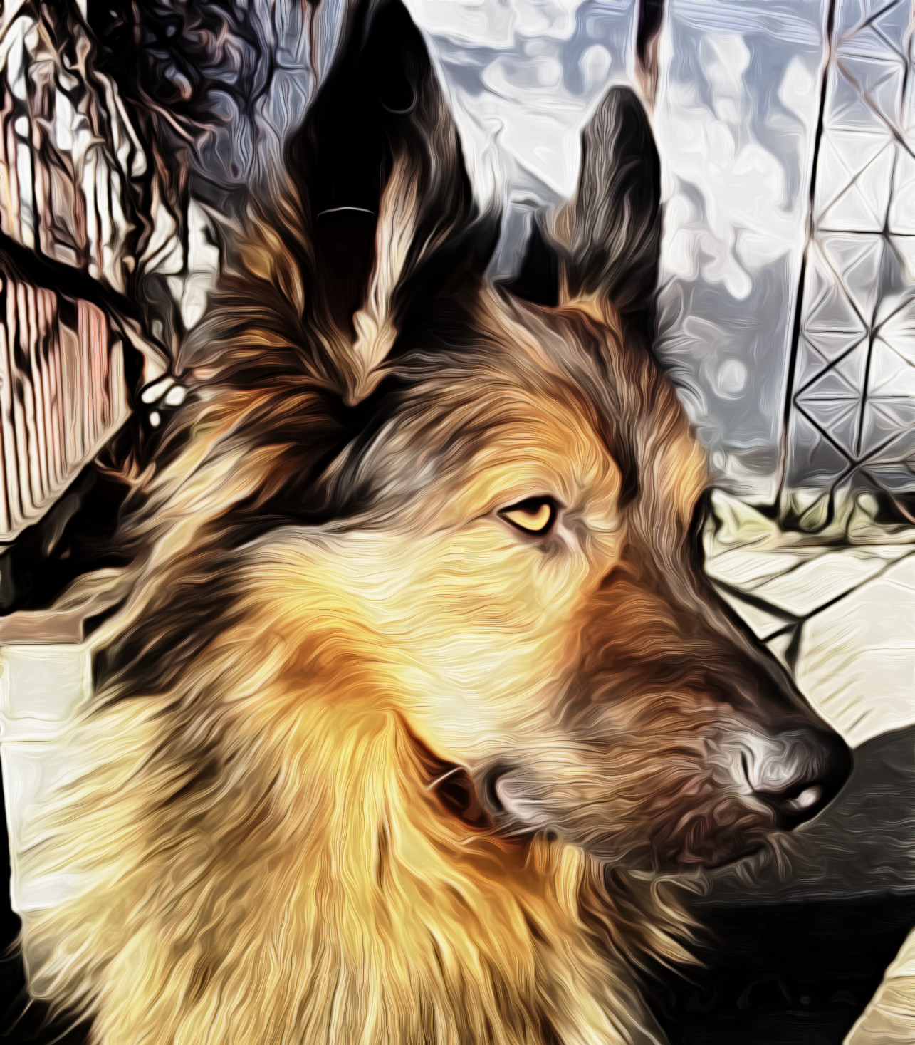 My dog_JVID_EFFECT_A2.jpg