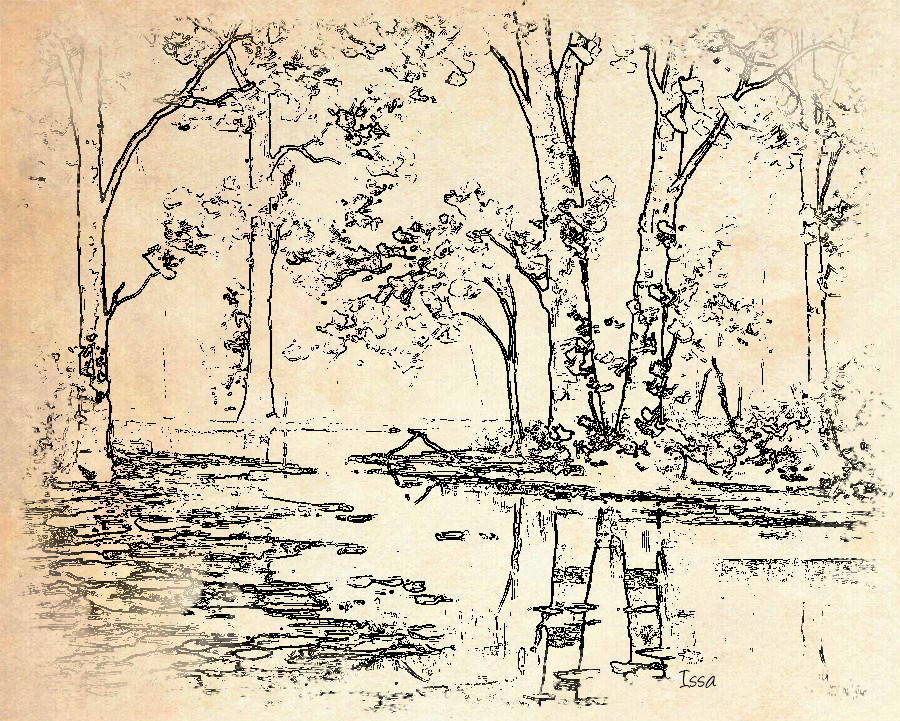 autumn_river_by_artsaus_d55ofs2-JvidEffect_B.jpg