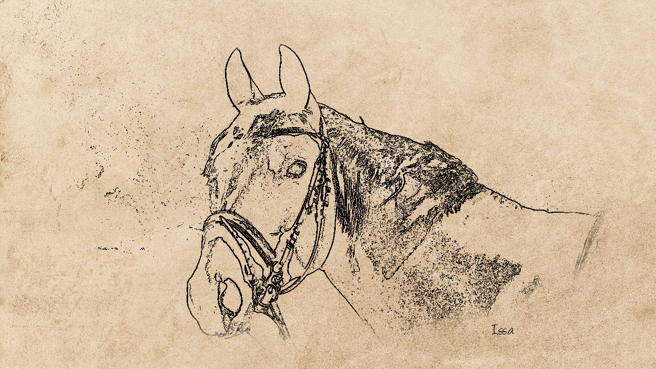 horse-3114412_JvidEffect_B.jpg