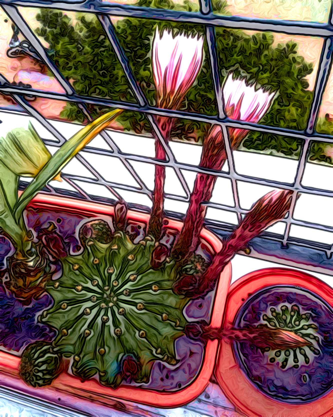 Balcón_Plantas_JovidEffect_C.JPG
