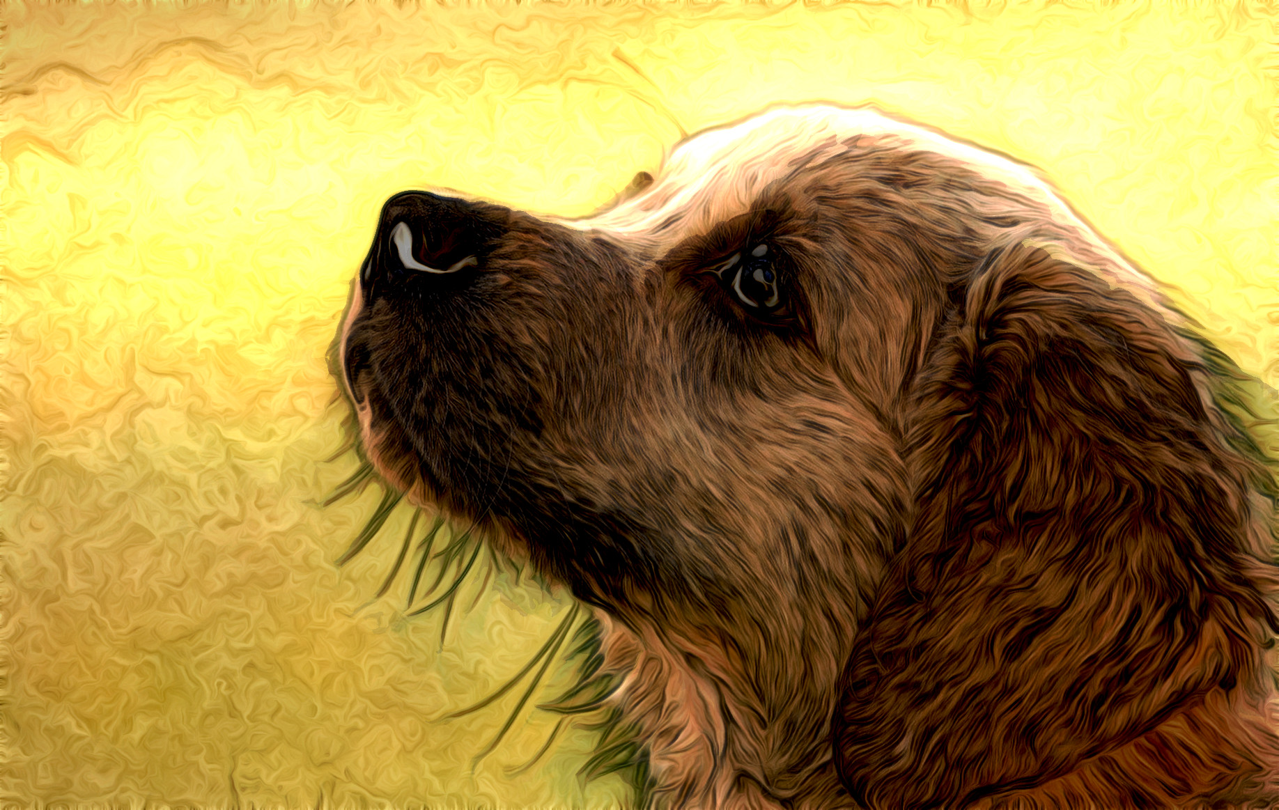 dog-4390885_JvidEffect_C.jpg
