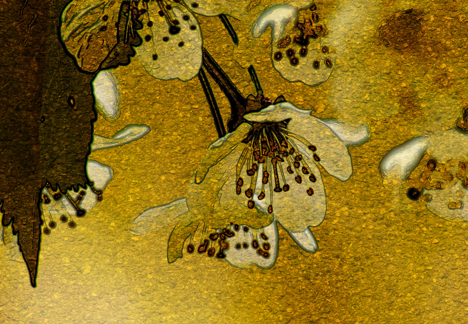 cherry-blossom-6282234_JvidEffect_D.jpg