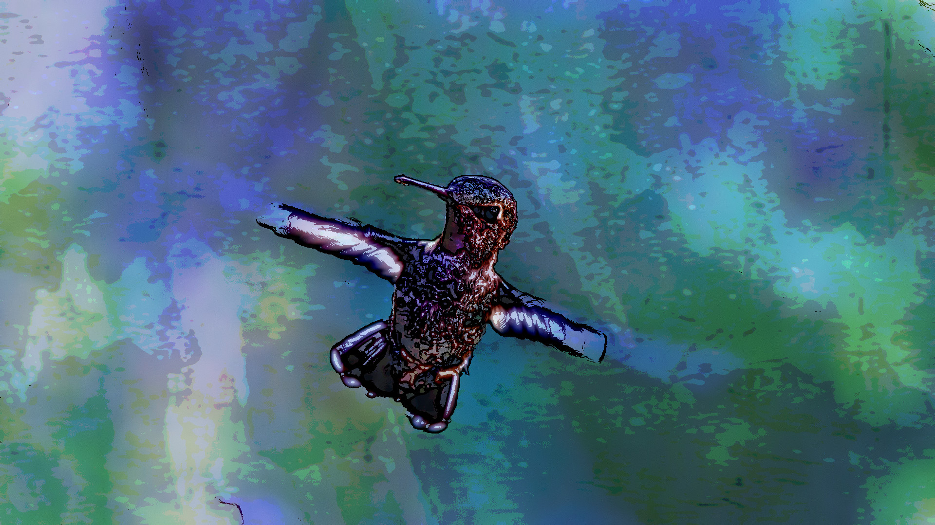 2021-06-04 10-46-29 hummingbird-691483_1920 with JVID effect D (Graphic Art).jpg