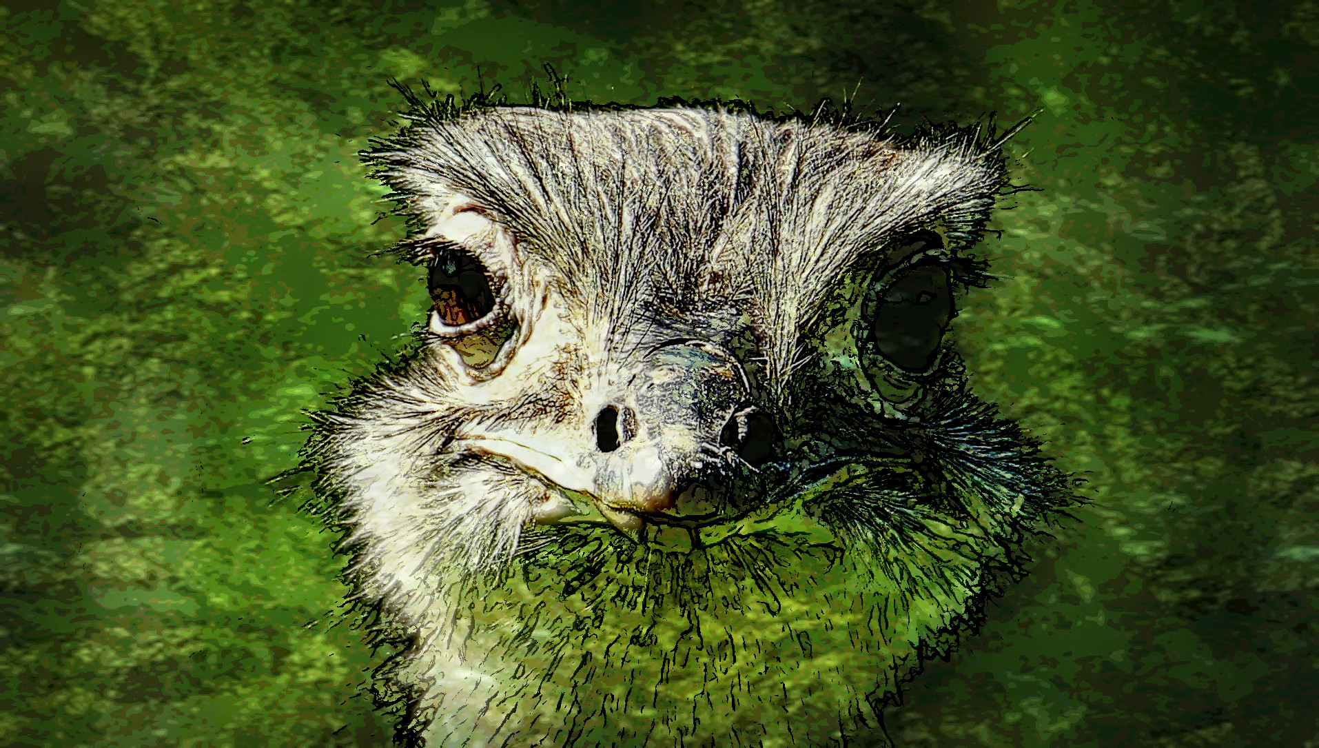 2021-06-04 10-49-17 rhea-bird-1438633_1920 with JVID effect D (Graphic Art).jpg