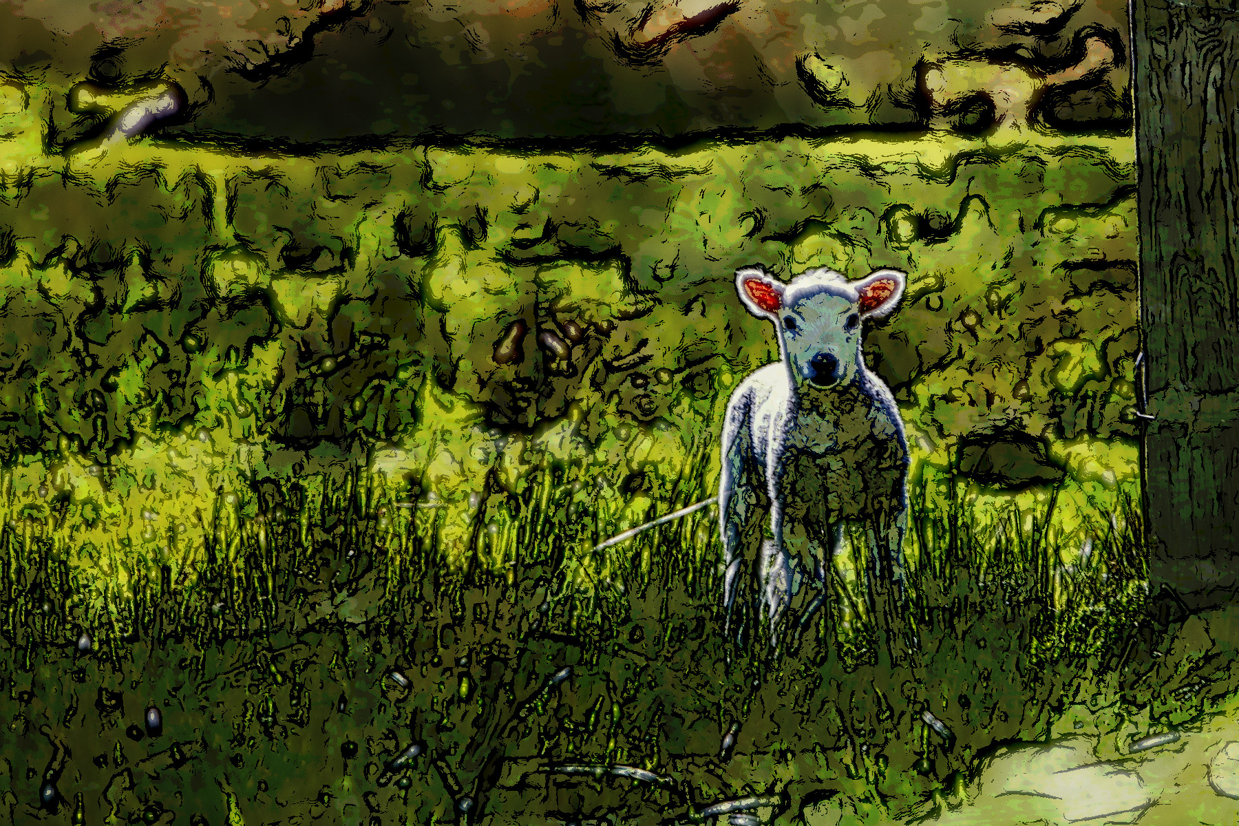 2021-06-04 10-47-11 lamb-1081950_1920 with JVID effect D (Graphic Art).jpg