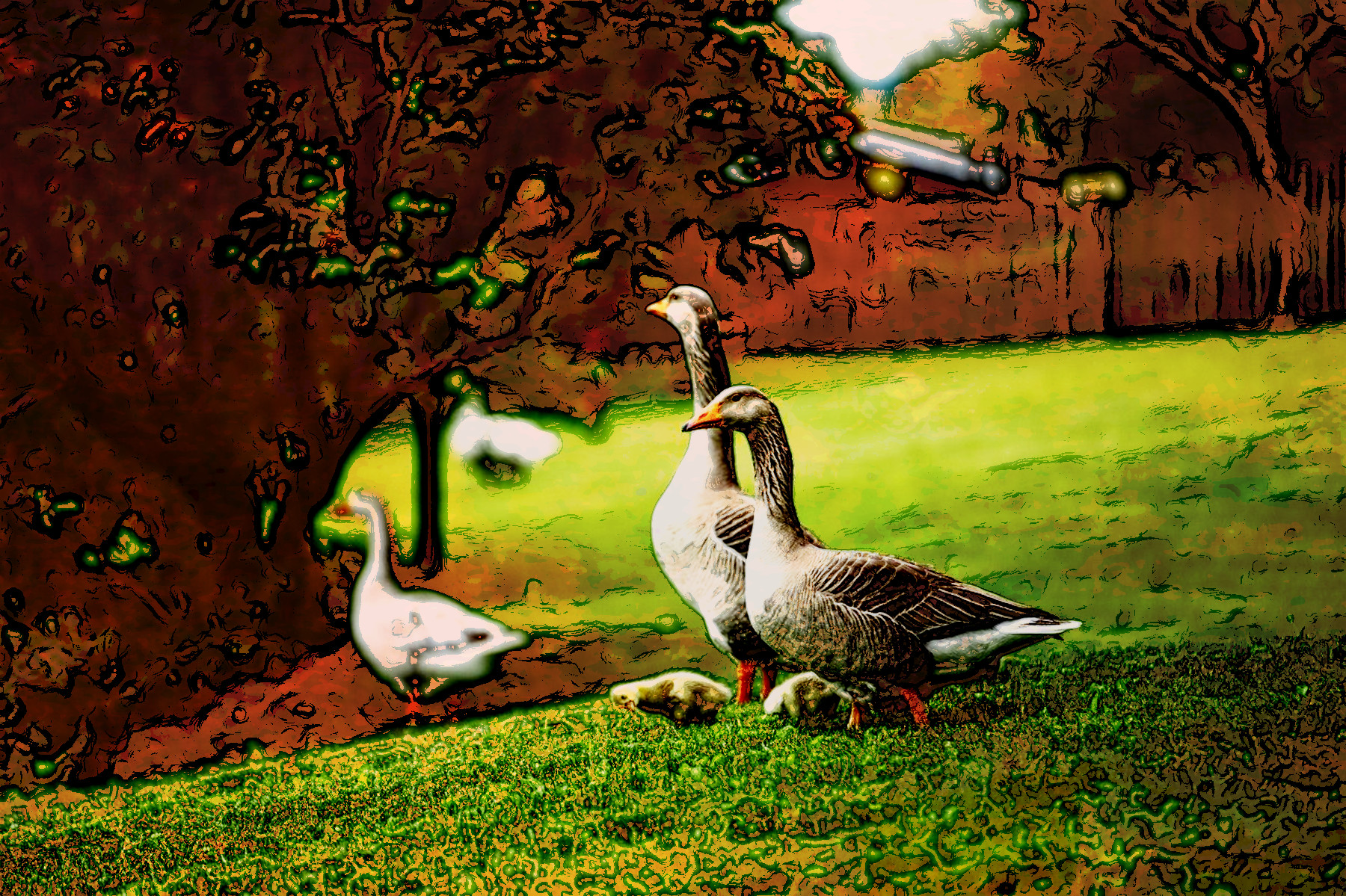 greylag-geese-6281214_JvidEffect_D.jpg