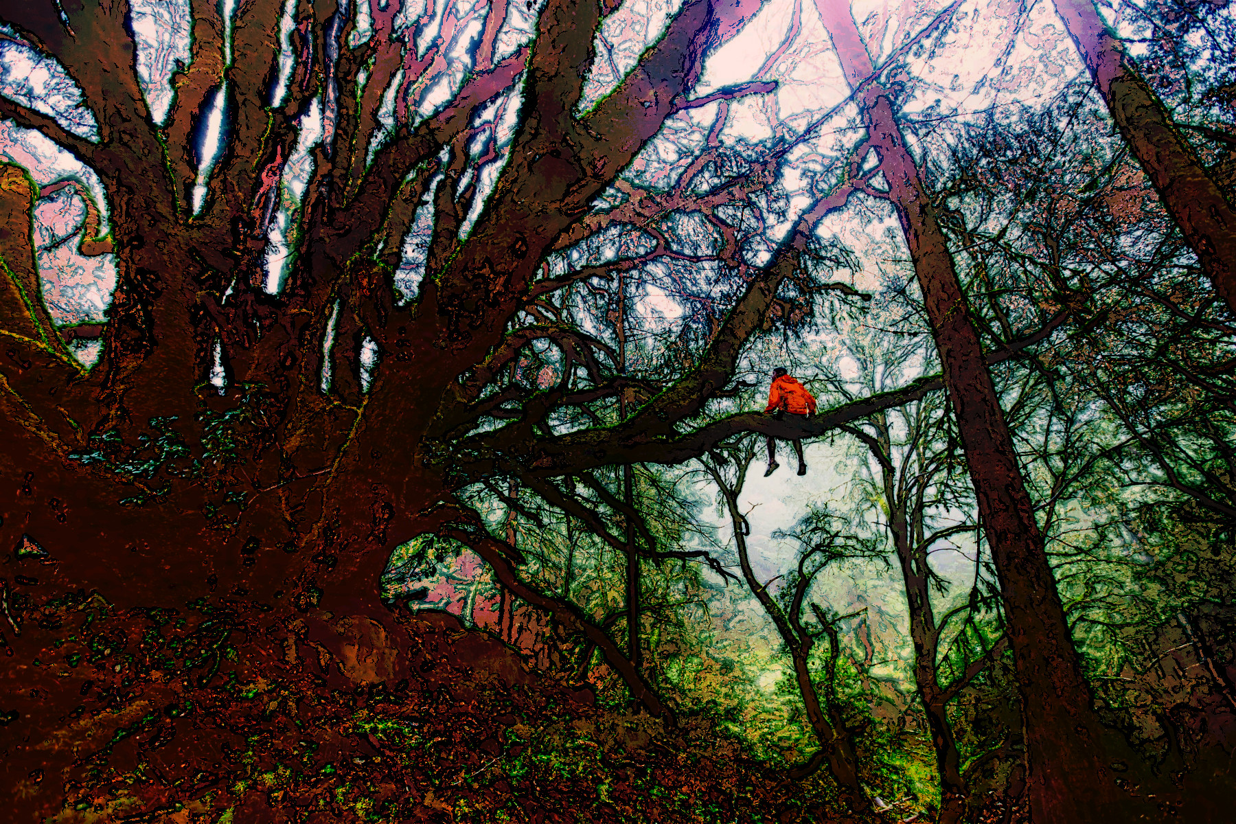 2021-06-14 10-15-49 forest-1245692_1920 with JVID effect D (Graphic Art).jpg