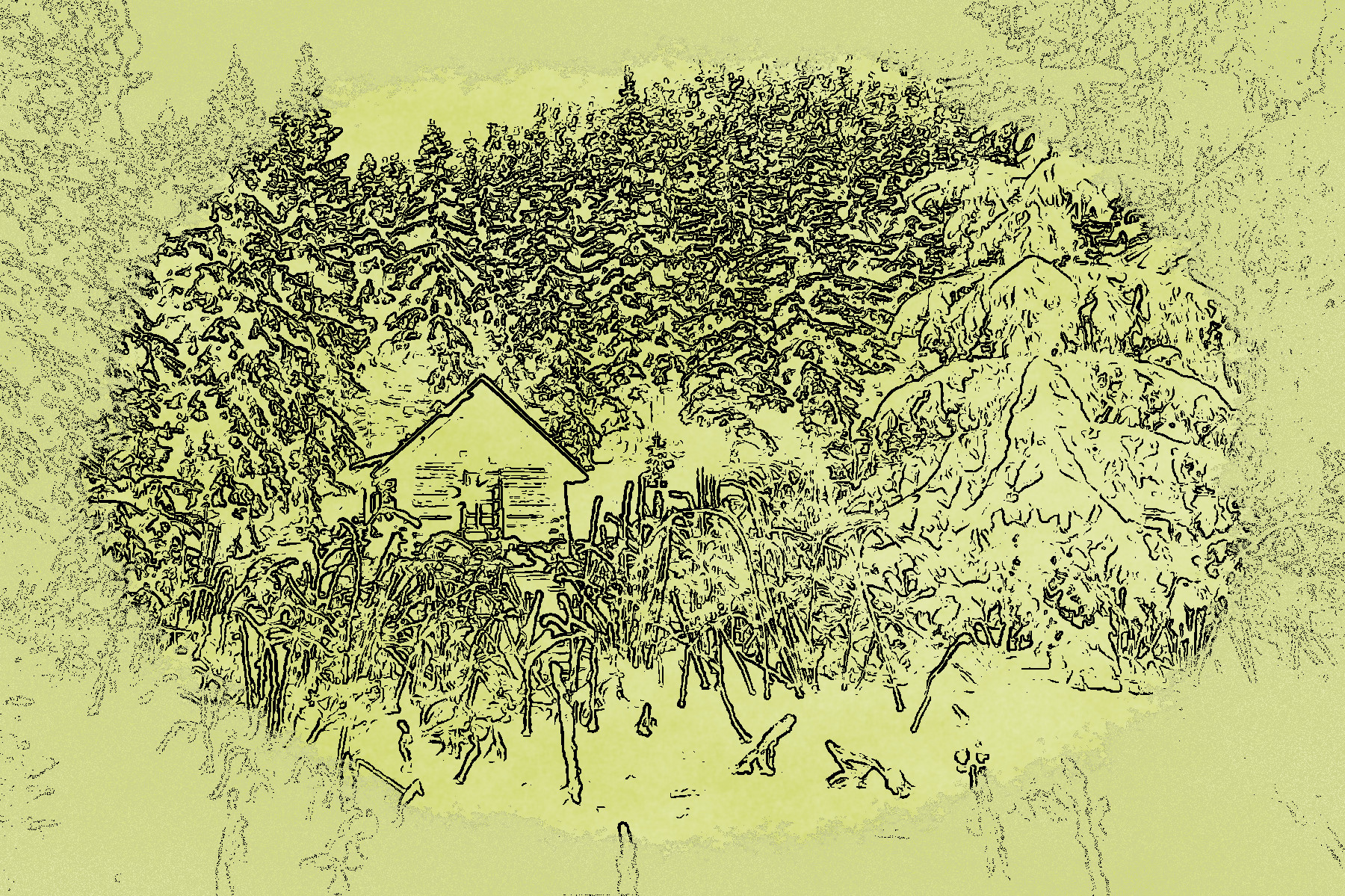 2021-06-17 06-52-26 cabin-1082063_1280 with JVID effect B2 (Line Art) paper CHARTREUSE.jpg