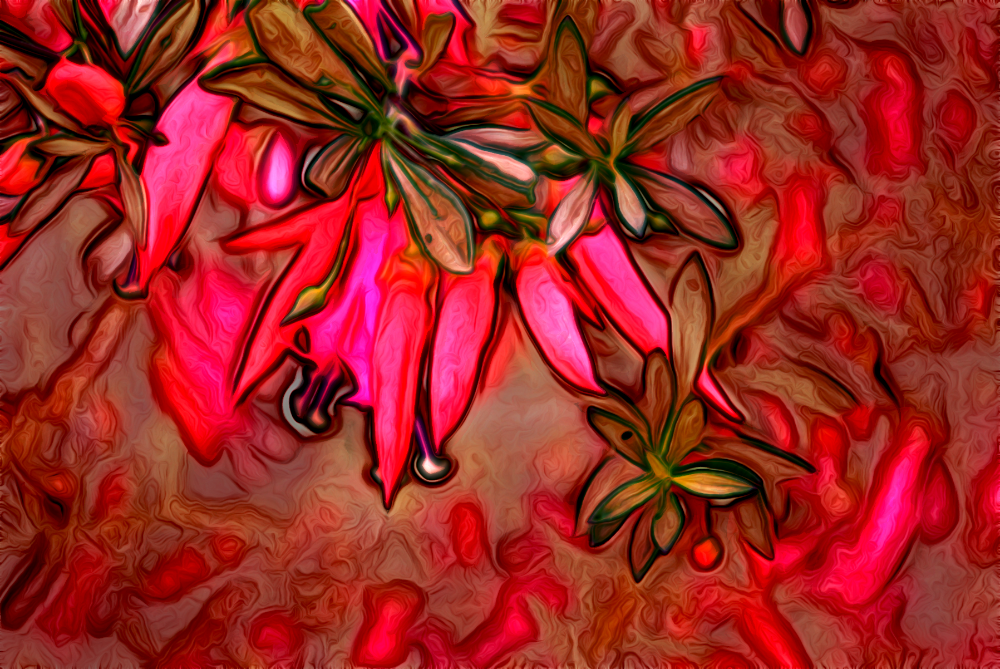 flower3_jvid.png