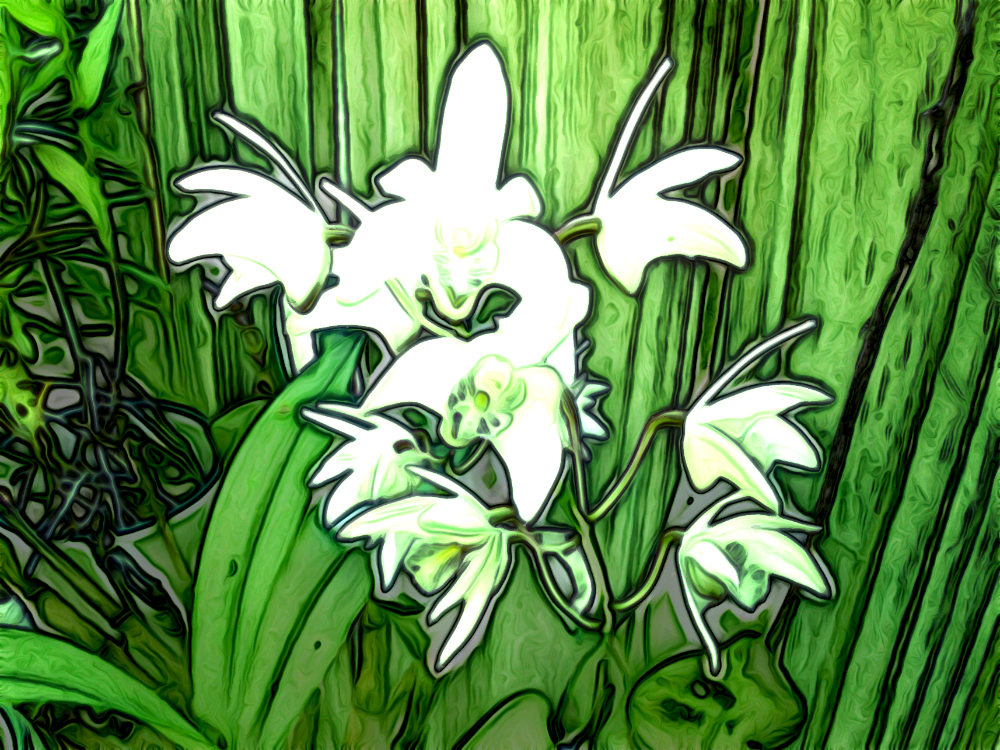flower2_jvid.png