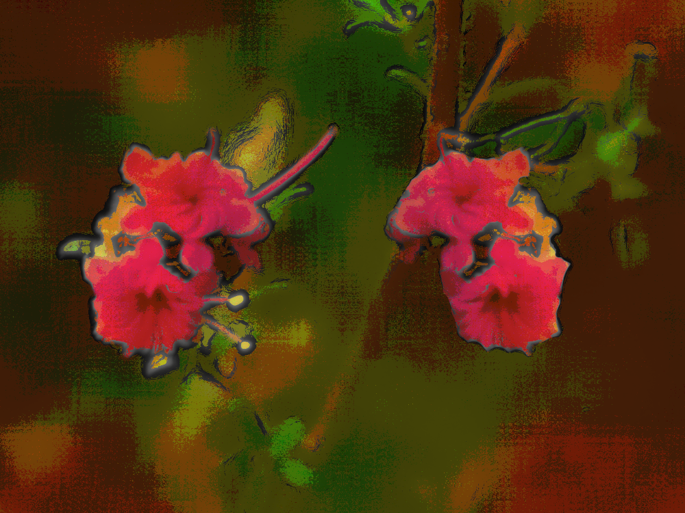 flower1_jvid.png
