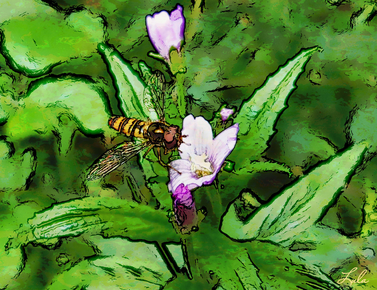 insecte_jvid_EffectD.jpg