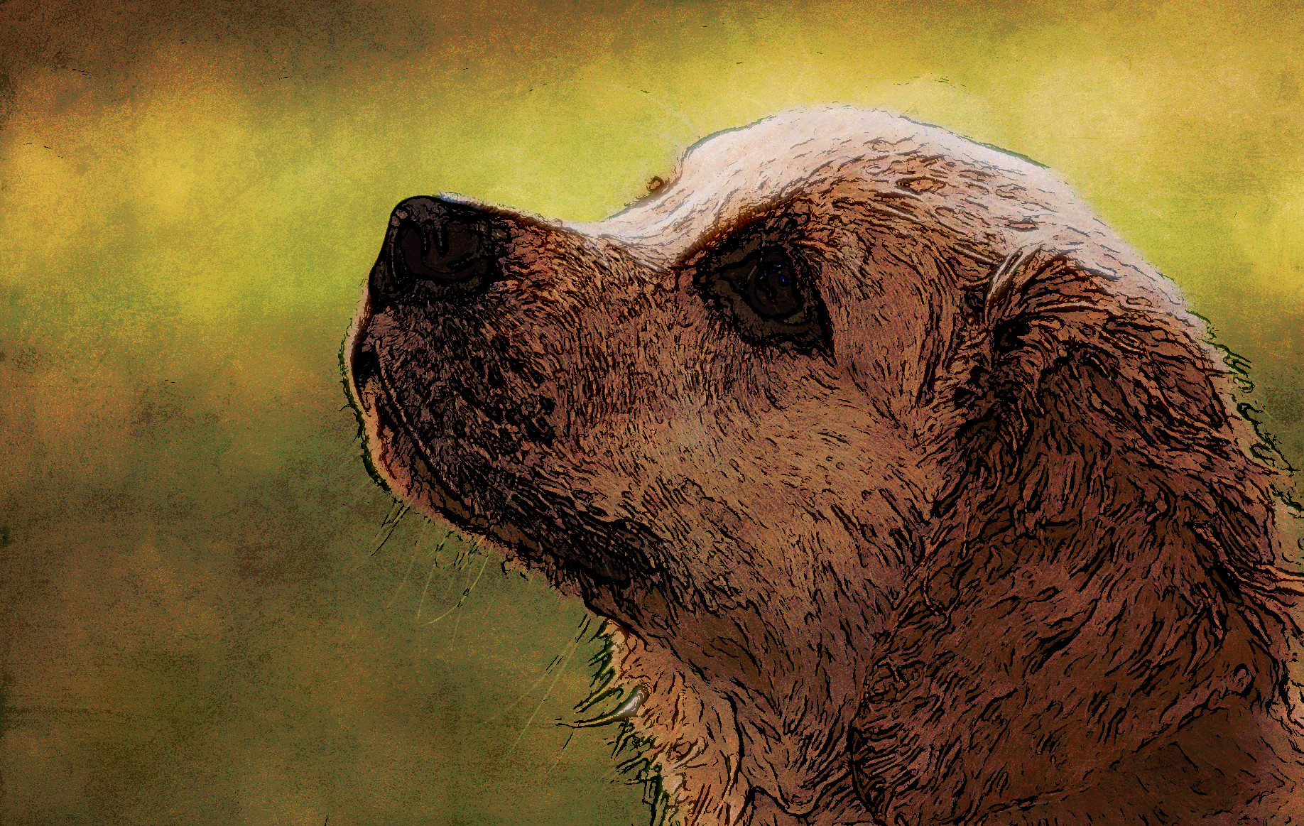 dog-4390885_Jvid_D.jpg