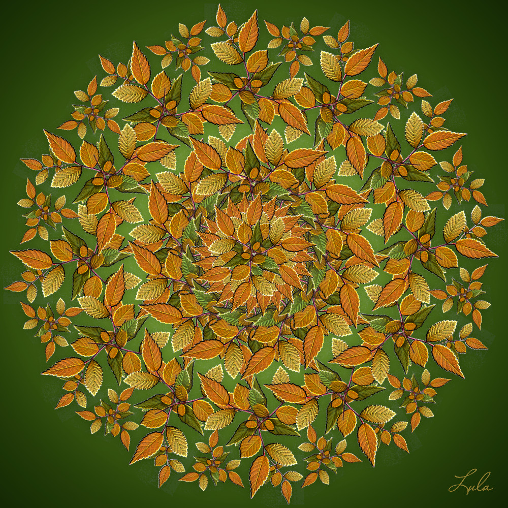 mandala_omg4.jpg