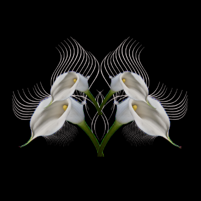 omg_white_tube_flower_brush.png
