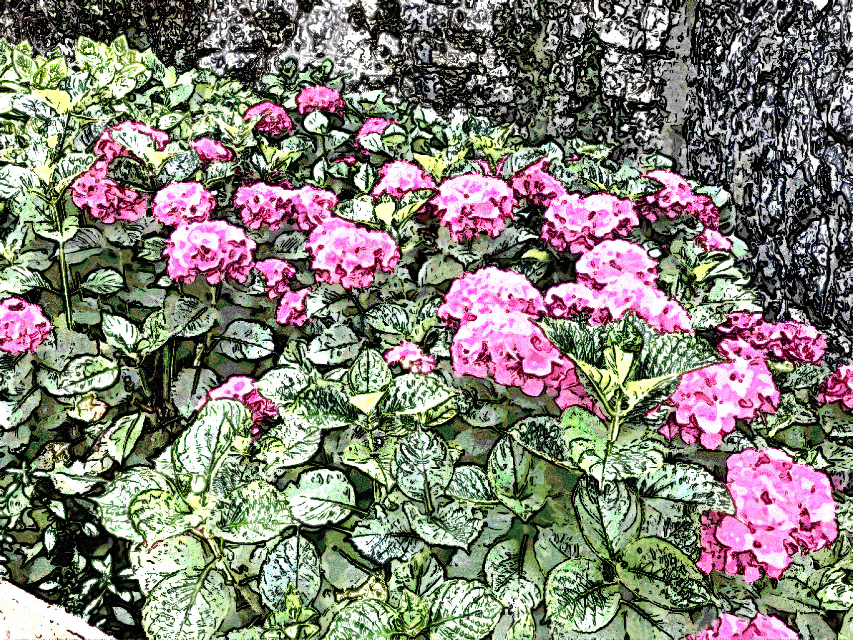 IMG_4873_Jvid_Effect_E.JPG