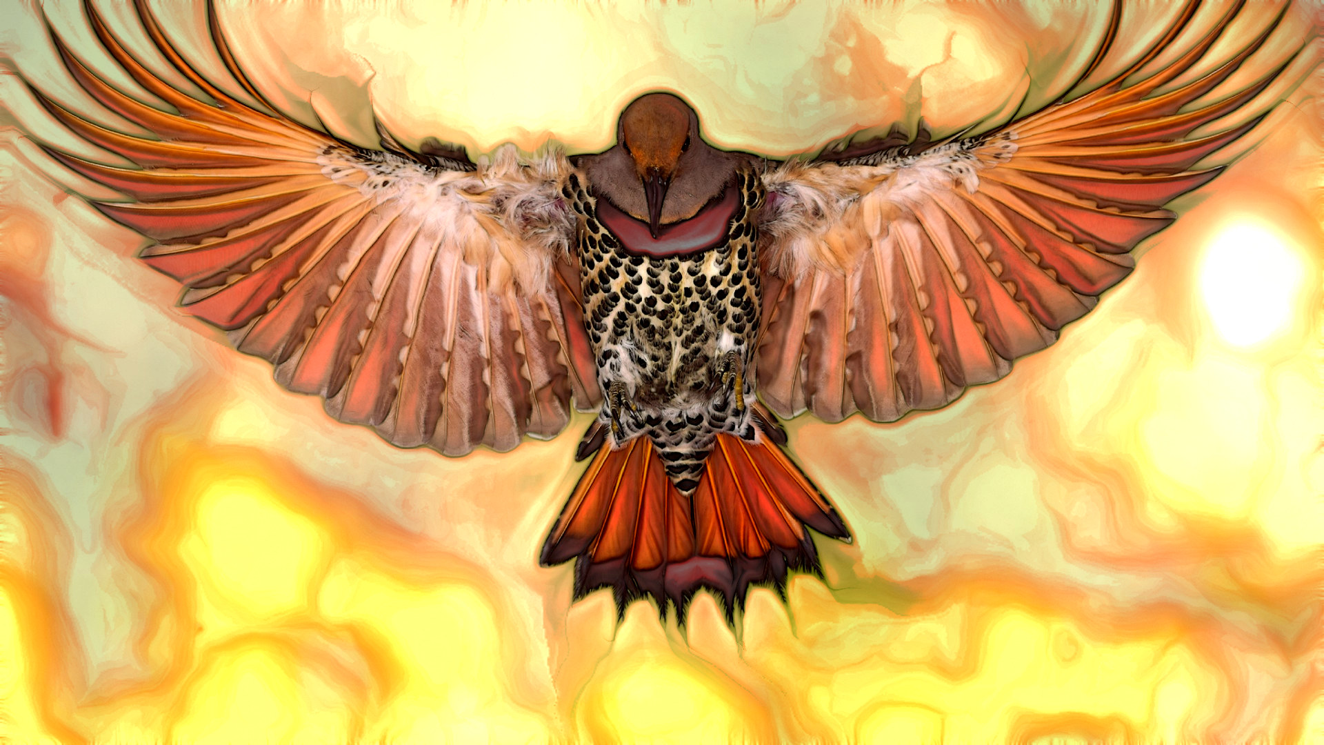 Hummingbird_lessVectorPaintfx_Issa_JVID_C.jpg