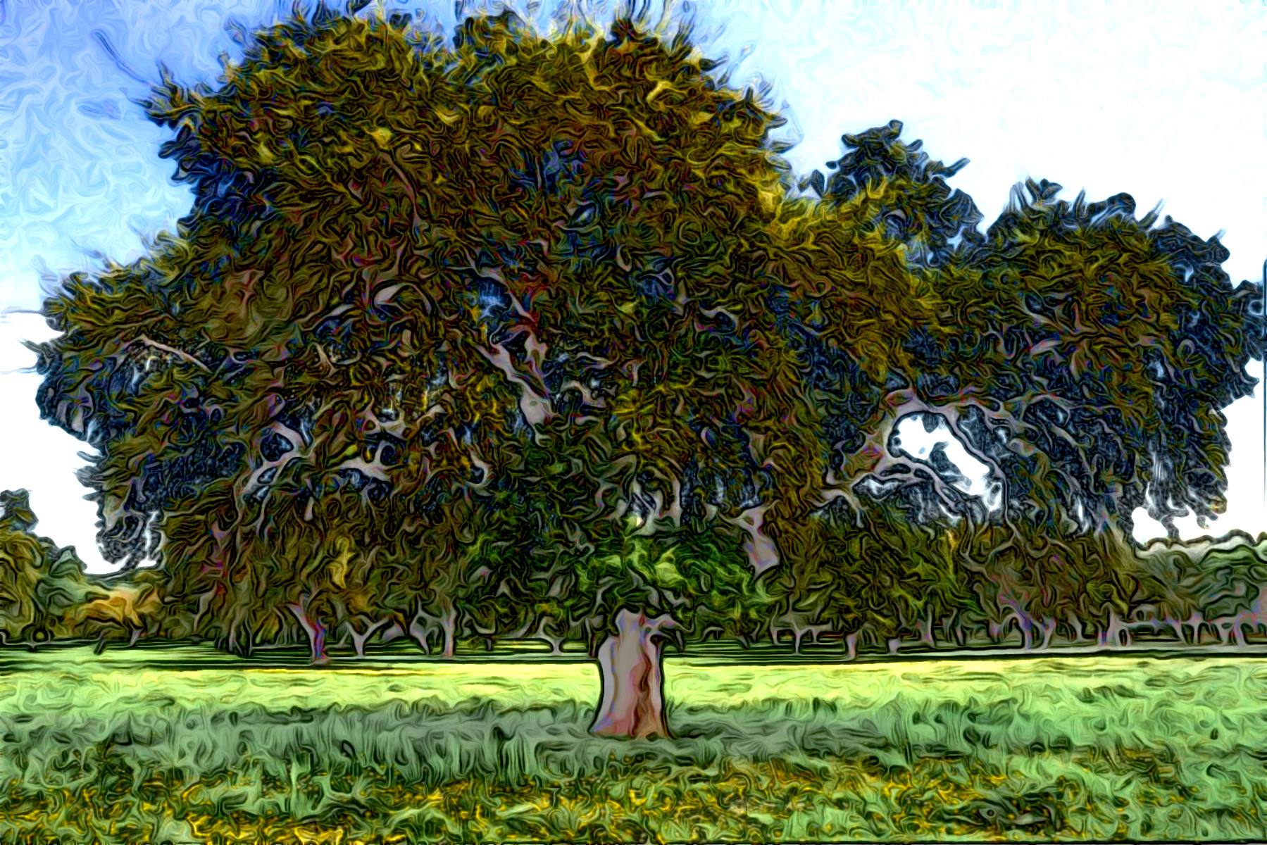 Tree_Jvid_Effect_C2.JPG