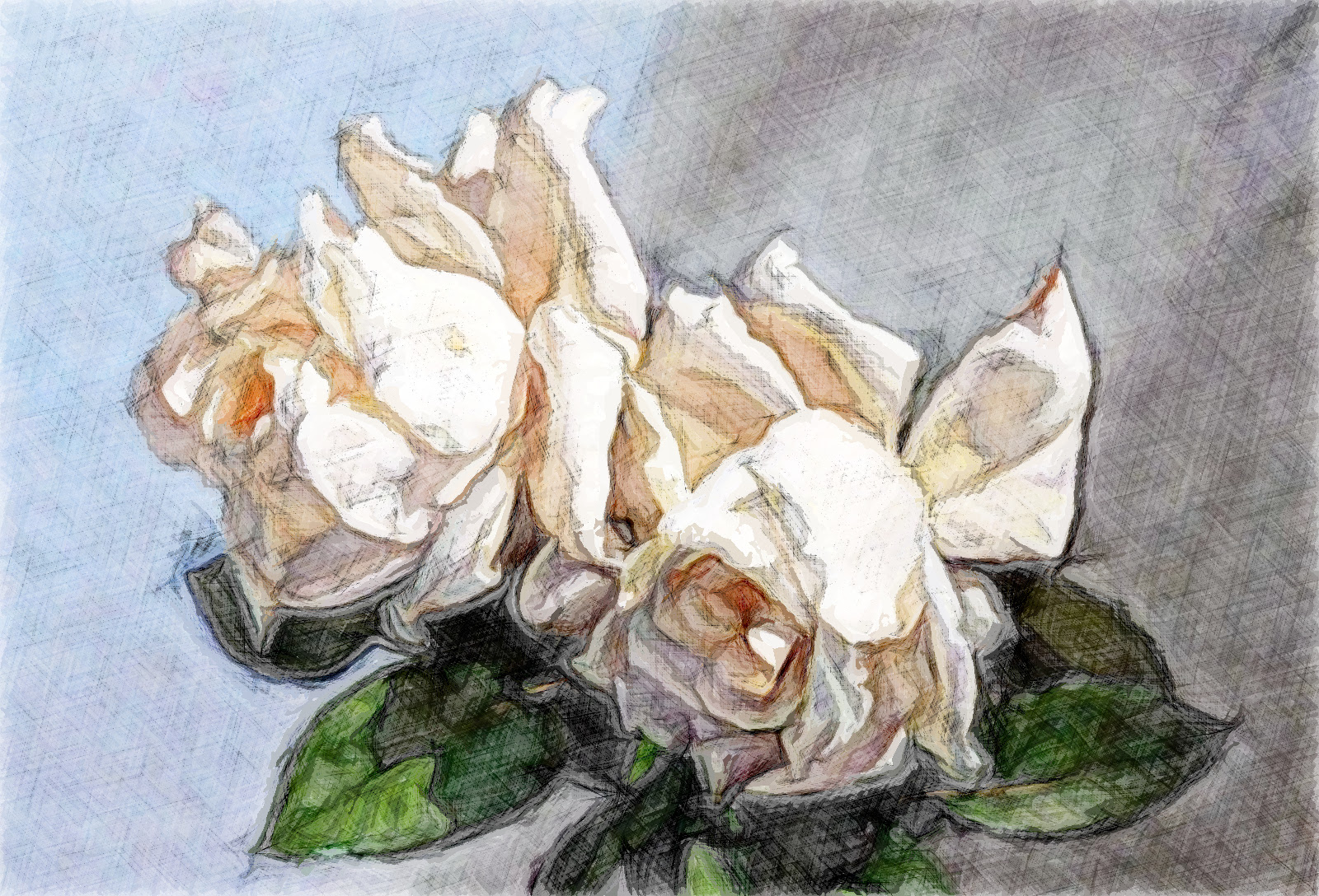 Cuadros-Flores_Sketch Graphic Art.jpg