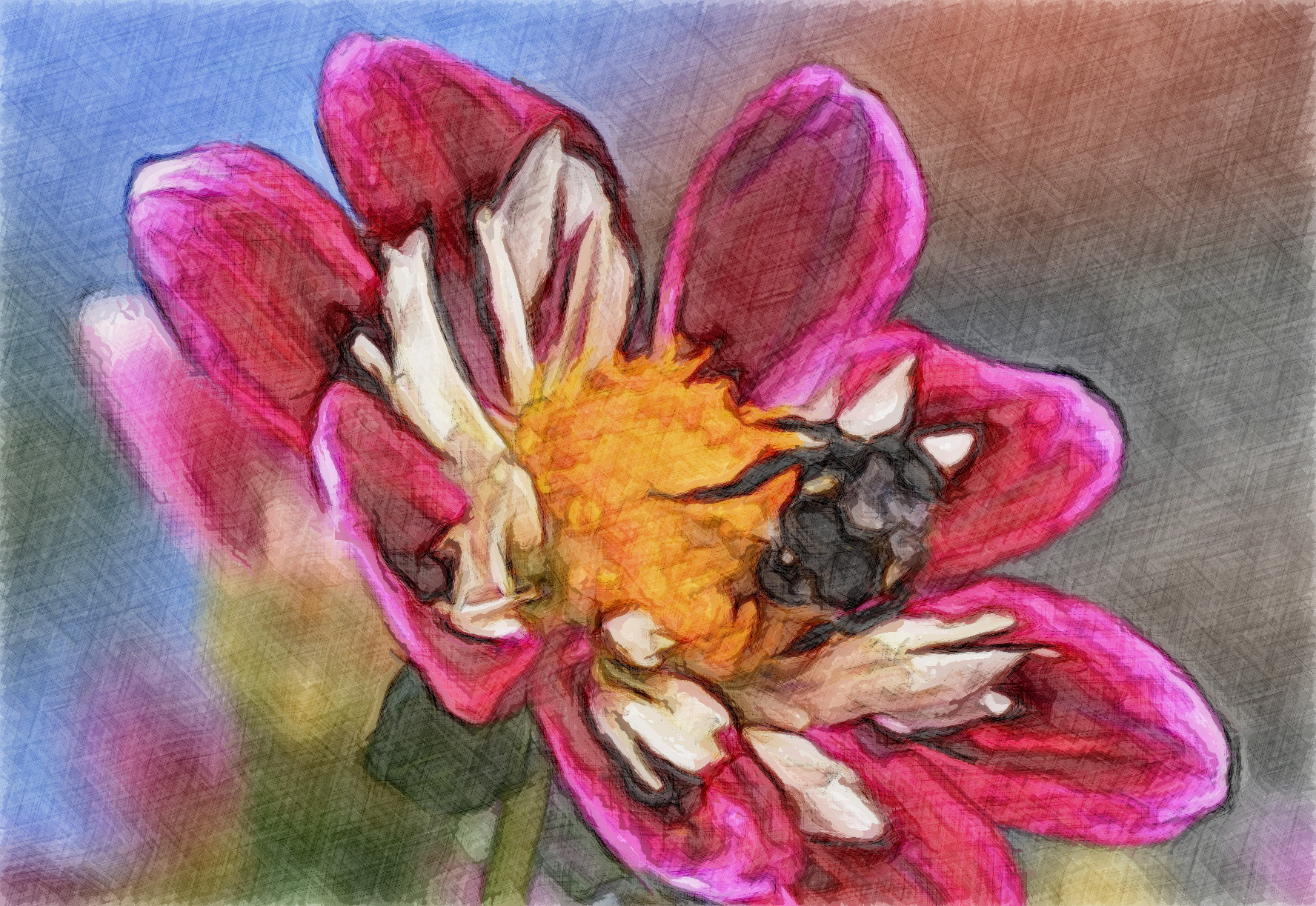 zinnia-3607595_Jvid_Effect_H.jpg