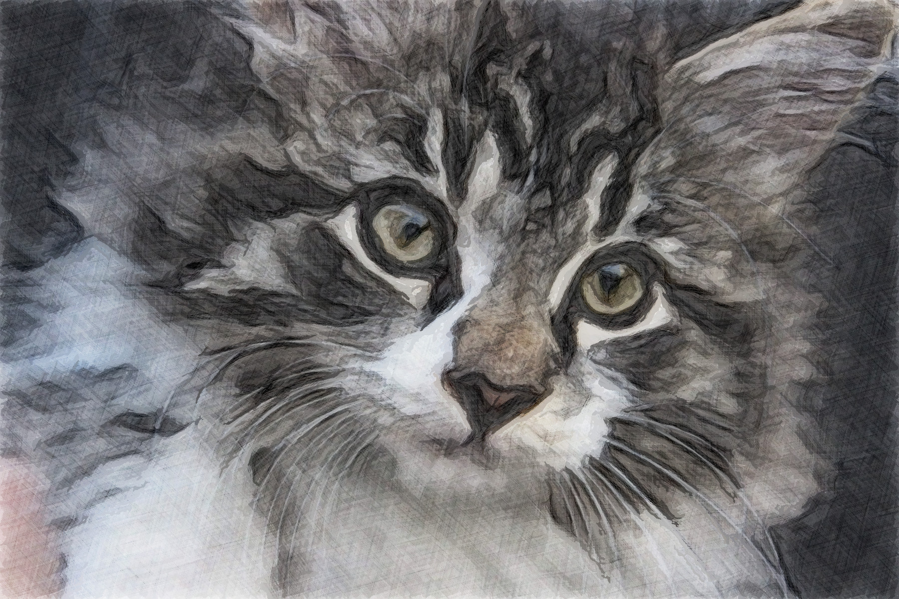 animals-3687796_Jvid_Effect_H.jpg