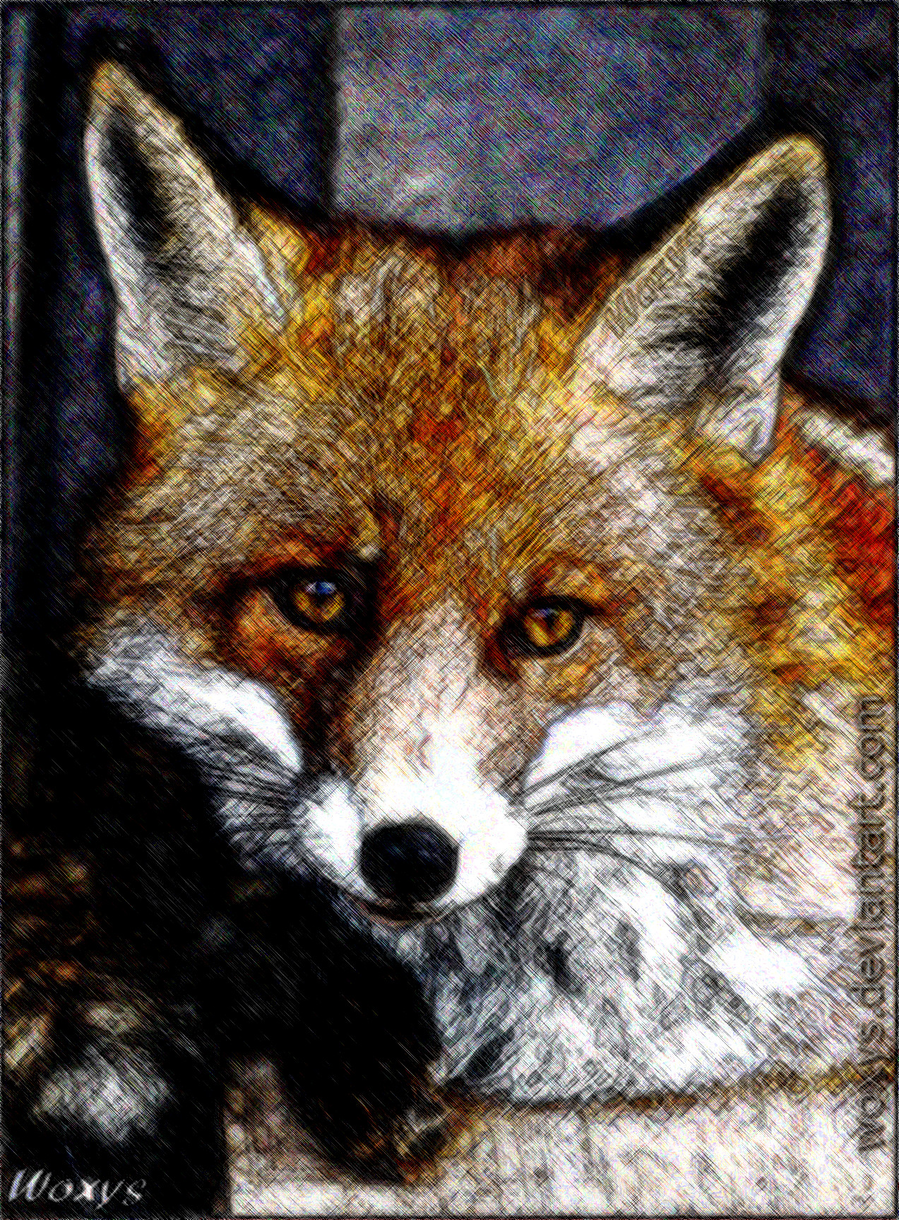 d5j0k8e-37c6eeec-5d30-4550_Jvid_Effect_HR.JPG