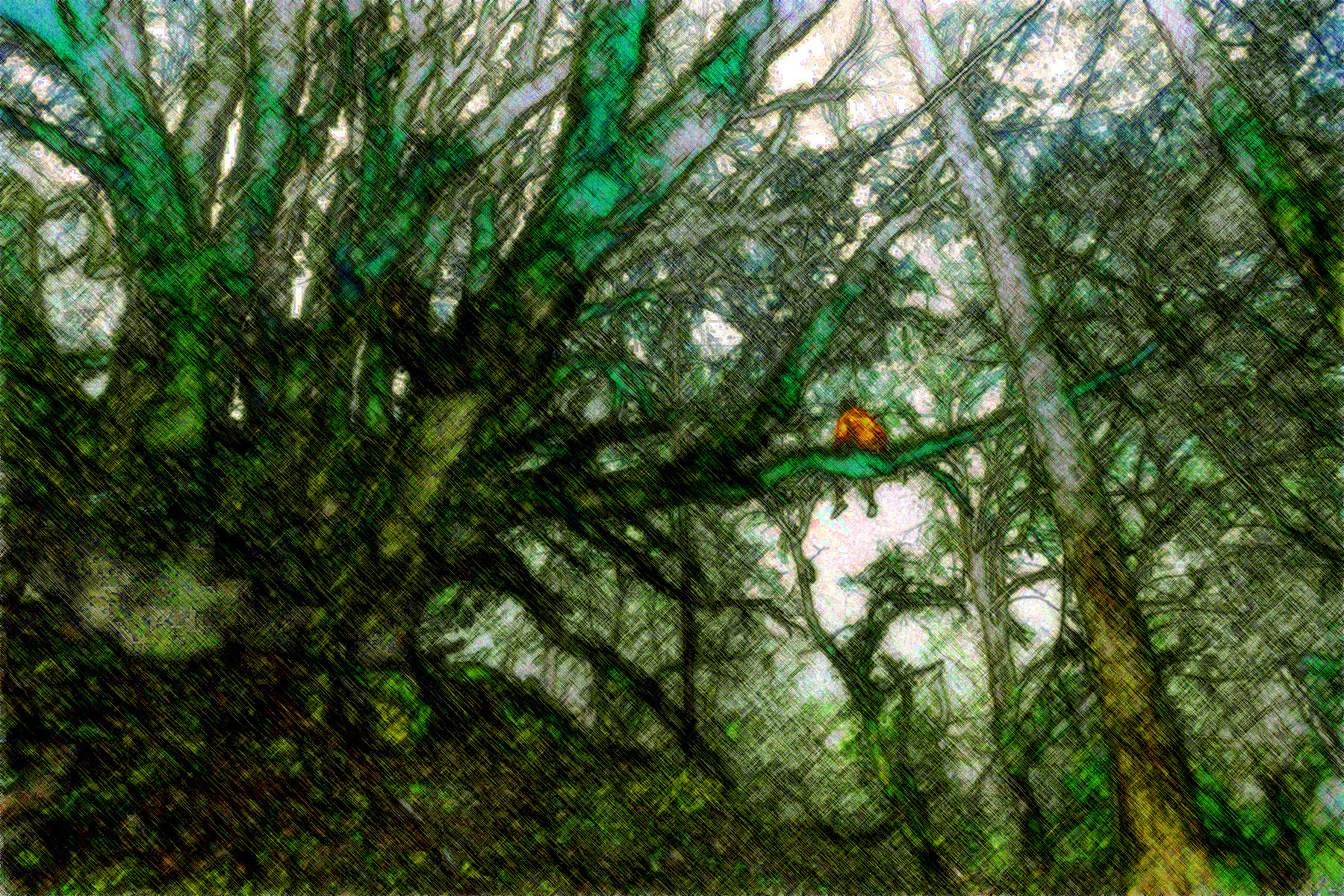 2021-07-14 17-57-37 man-tree-nature-forest-branch-person-503946-pxhere with JVID effect HR (Rough Sketch Graphic Look).jpg