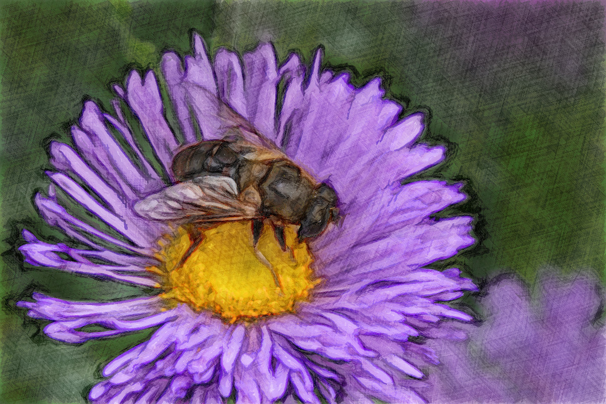 Flower.002.Jvid.H-DN.jpg