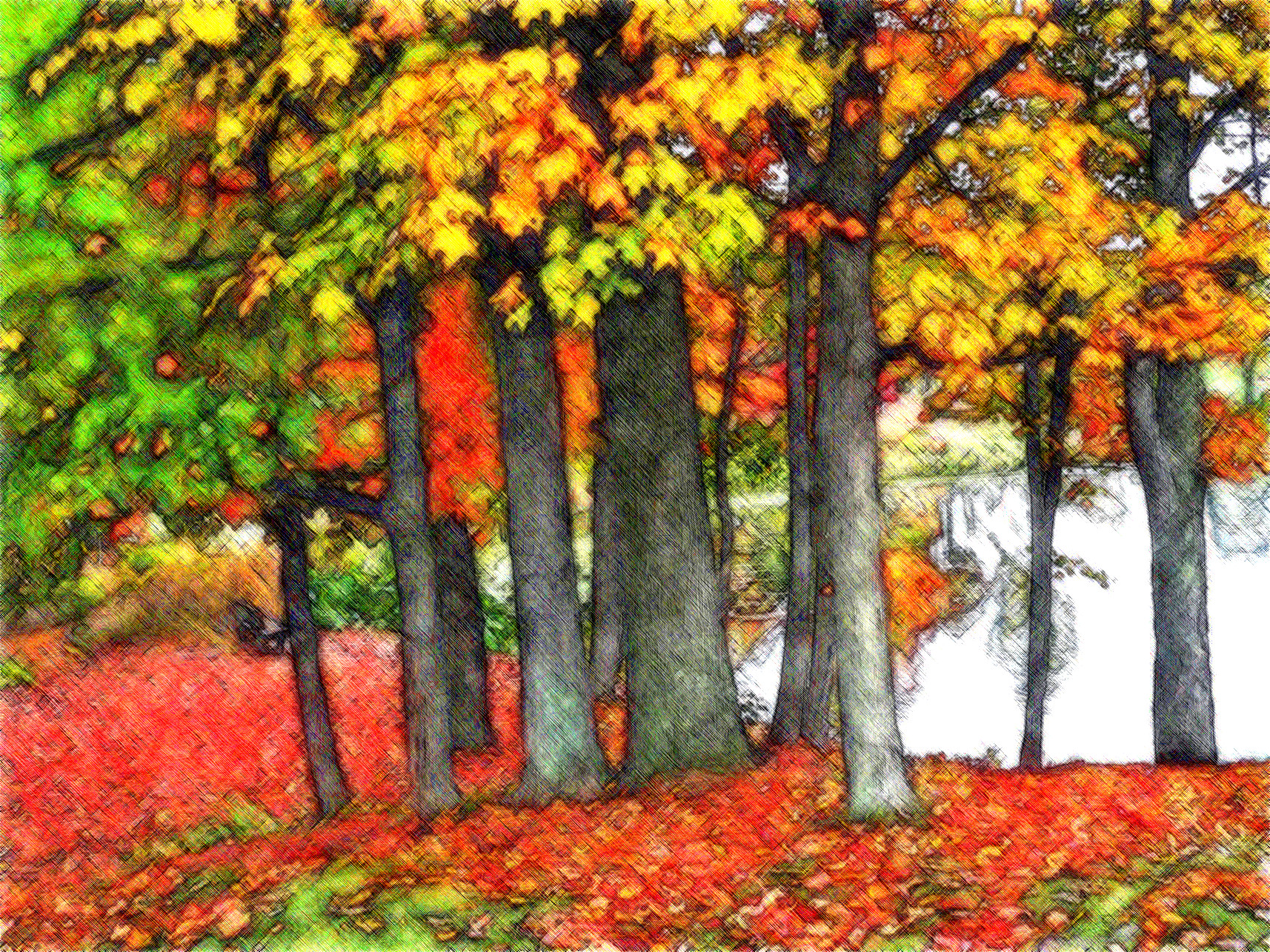 autumn-colors-1361896_Jvid_Effect_HR2.jpg