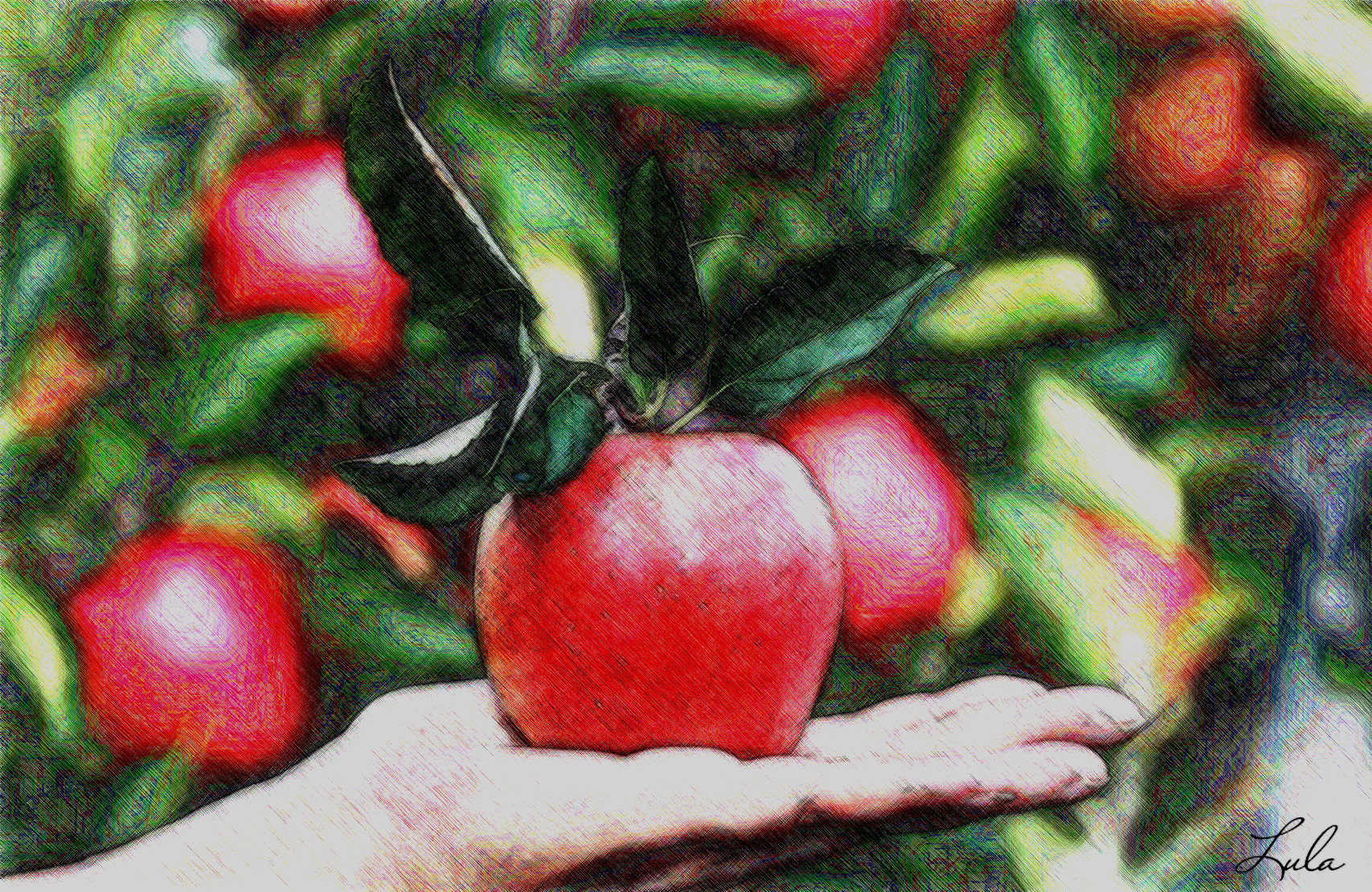 pomme_JVIDeffectHR.jpg