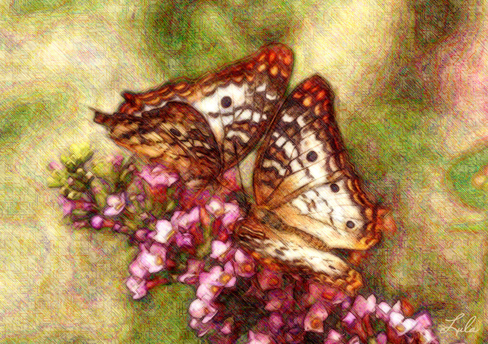 papillons_JVIDeffectHR.jpg
