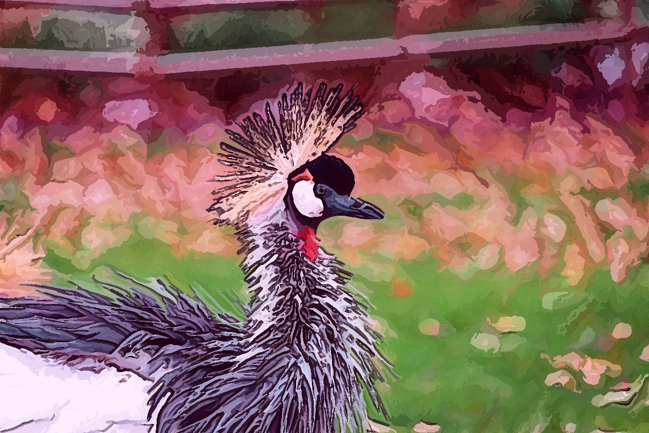 bird-4852628_Tutorial_Effect_I.jpg