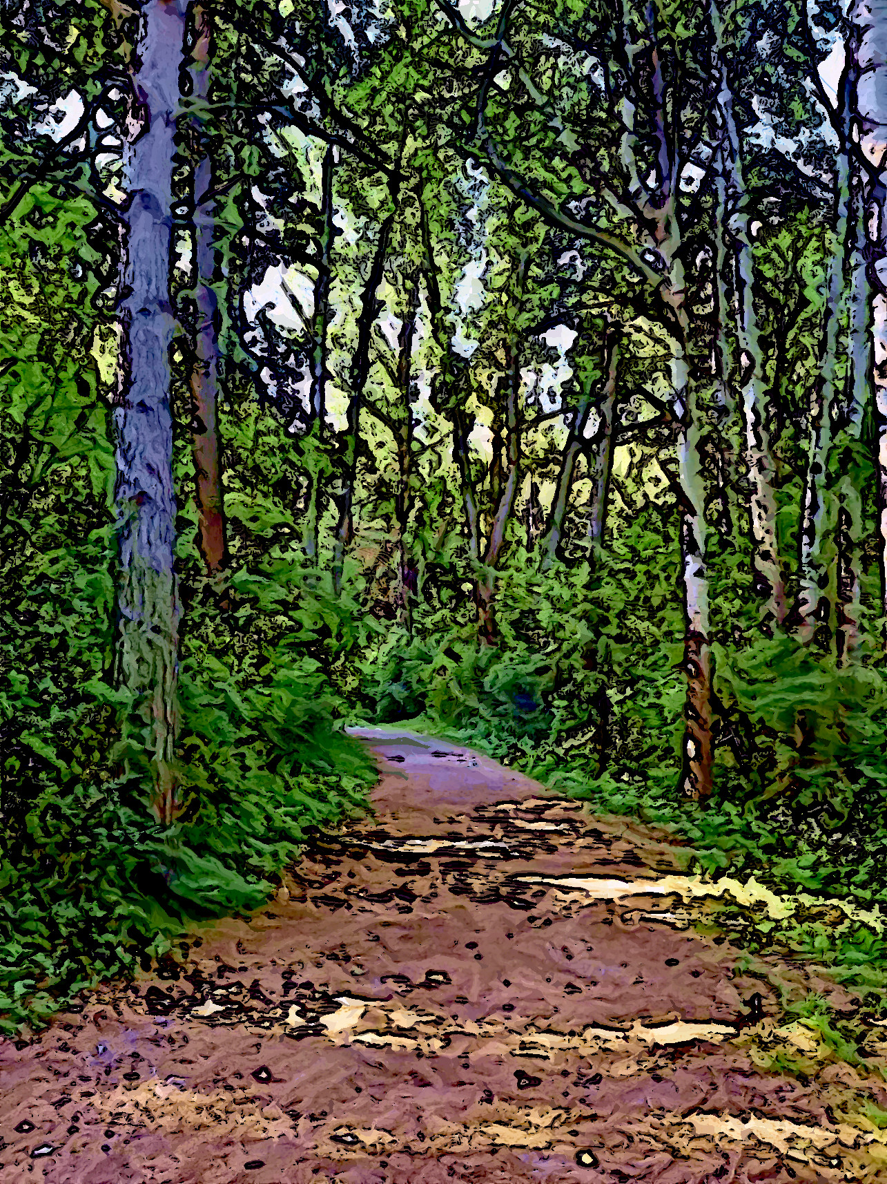 paths_d9d44b9b_Jvid_Effect_I.jpg