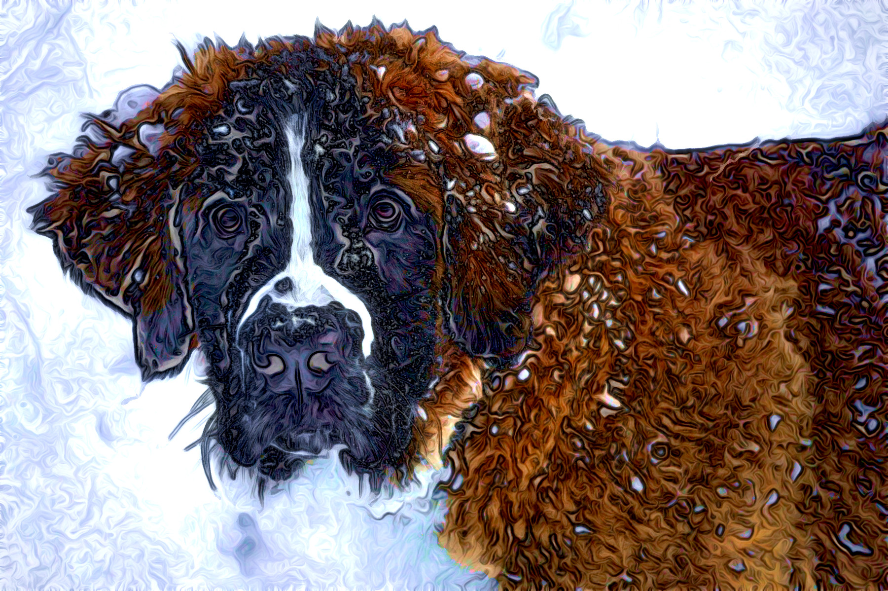 dog-1168663_Jvid_Effect_C.jpg