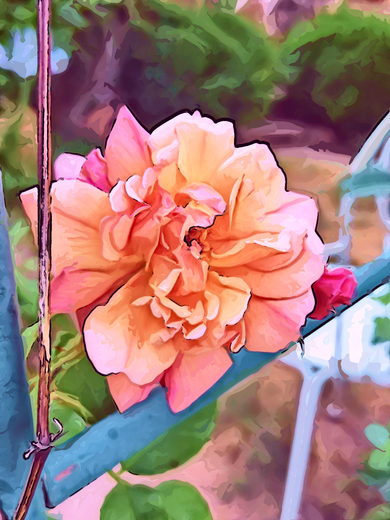 Rose_Garden_Jvid_Effect_I.JPG