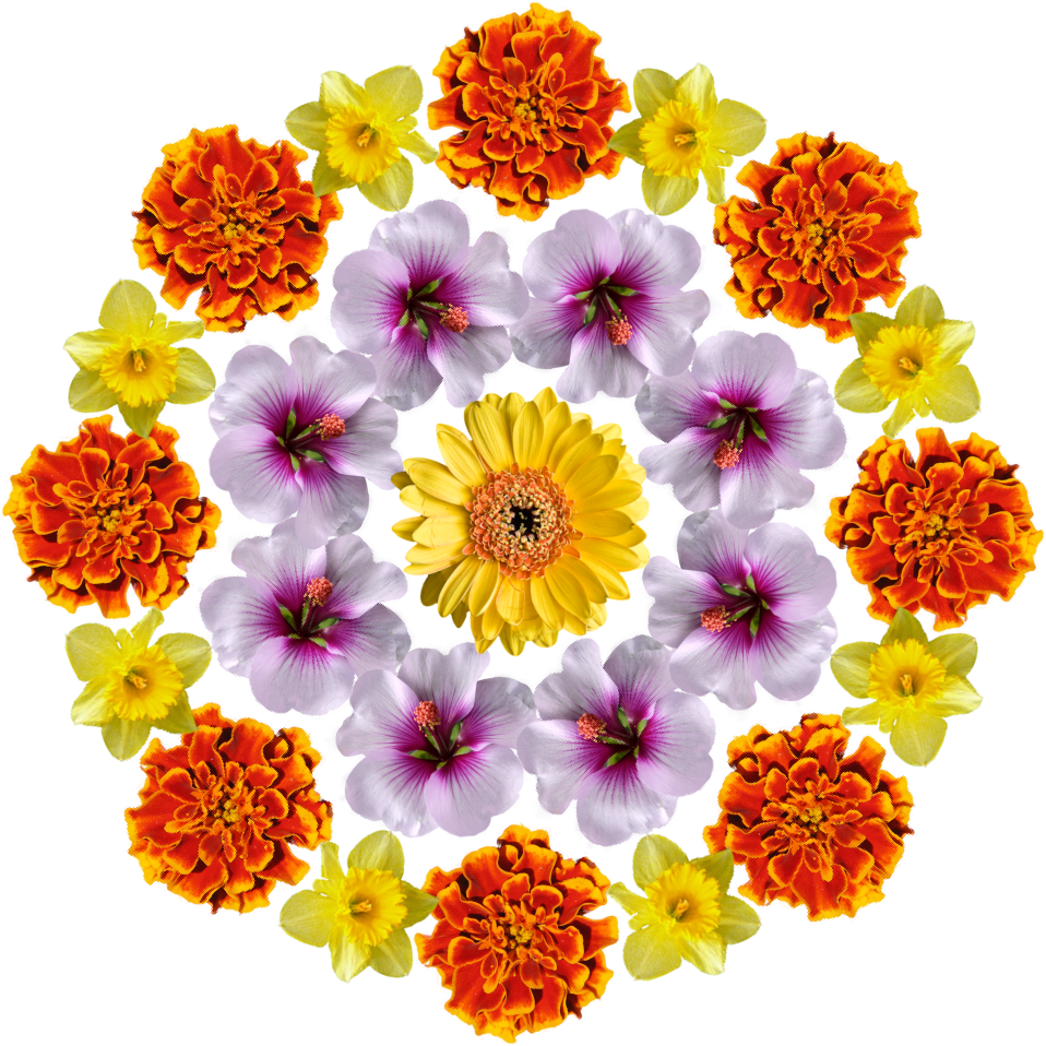 floral_man.png