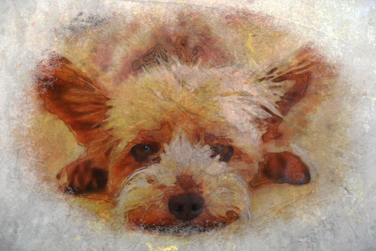 Watercolor.Jvid.LA.DN.Dog.02.jpg