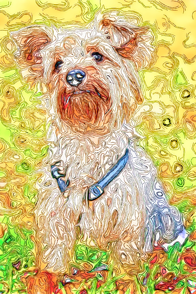 Jvid.M.DN.Dog(01).jpg