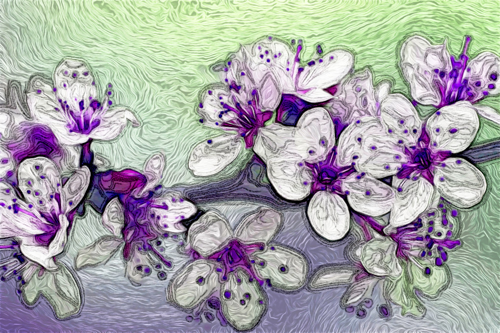 Jvid.MD.after.DN.Blossom.jpg