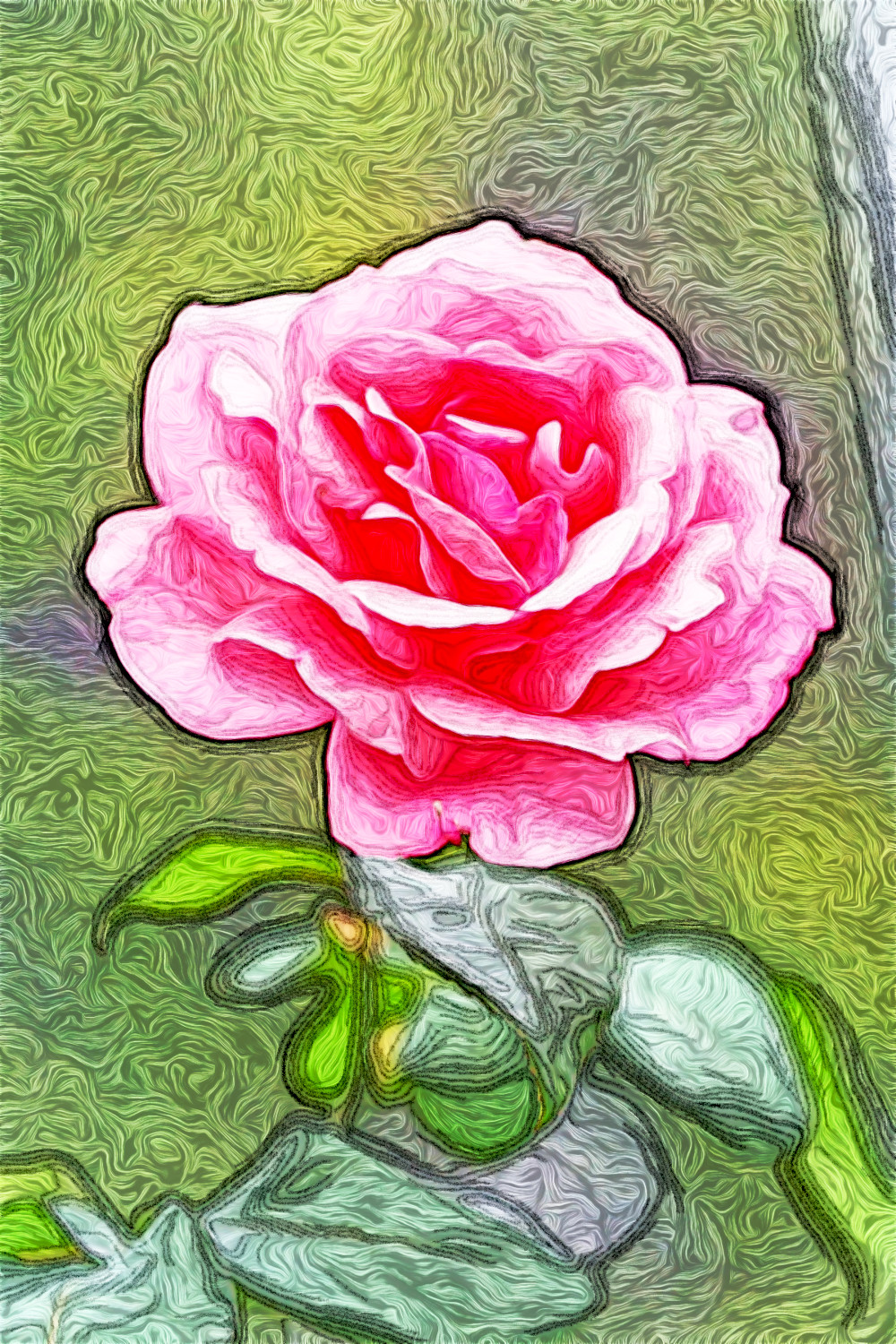Jvid.MD.after.DN.Rose(01).jpg